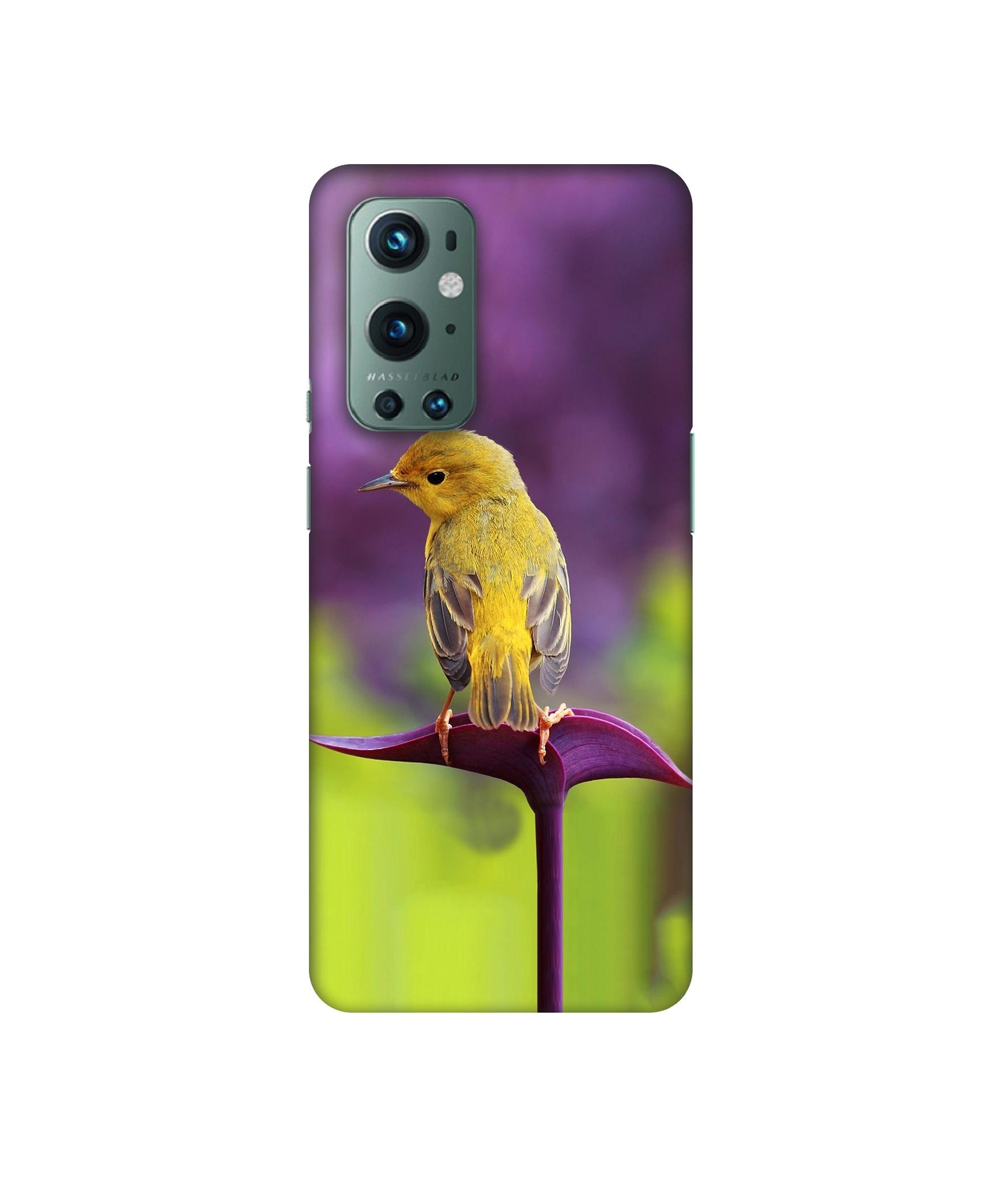 OnePlus 9 Pro