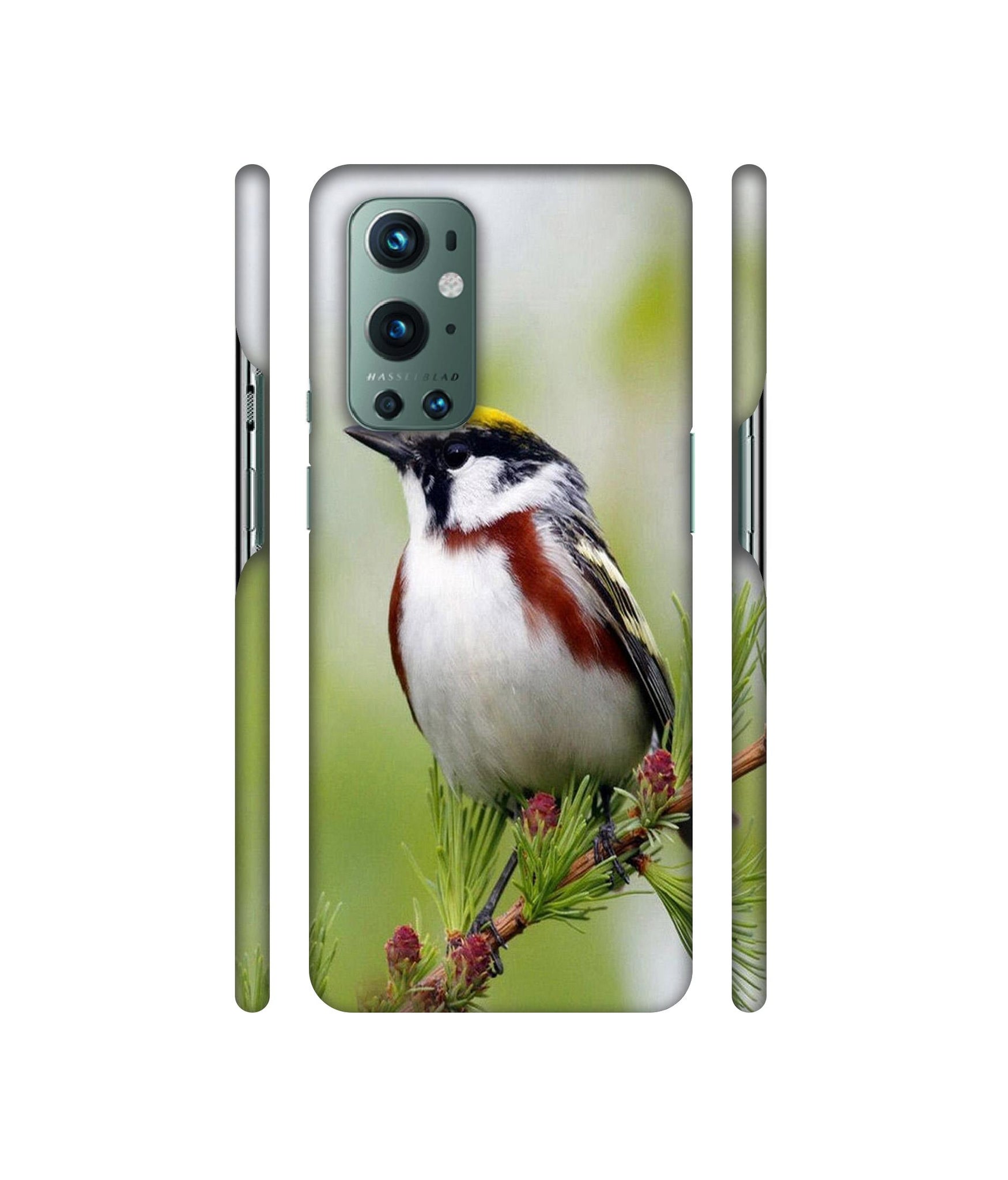Bird Pattern Designer Hard Back Cover for OnePlus 9 Pro