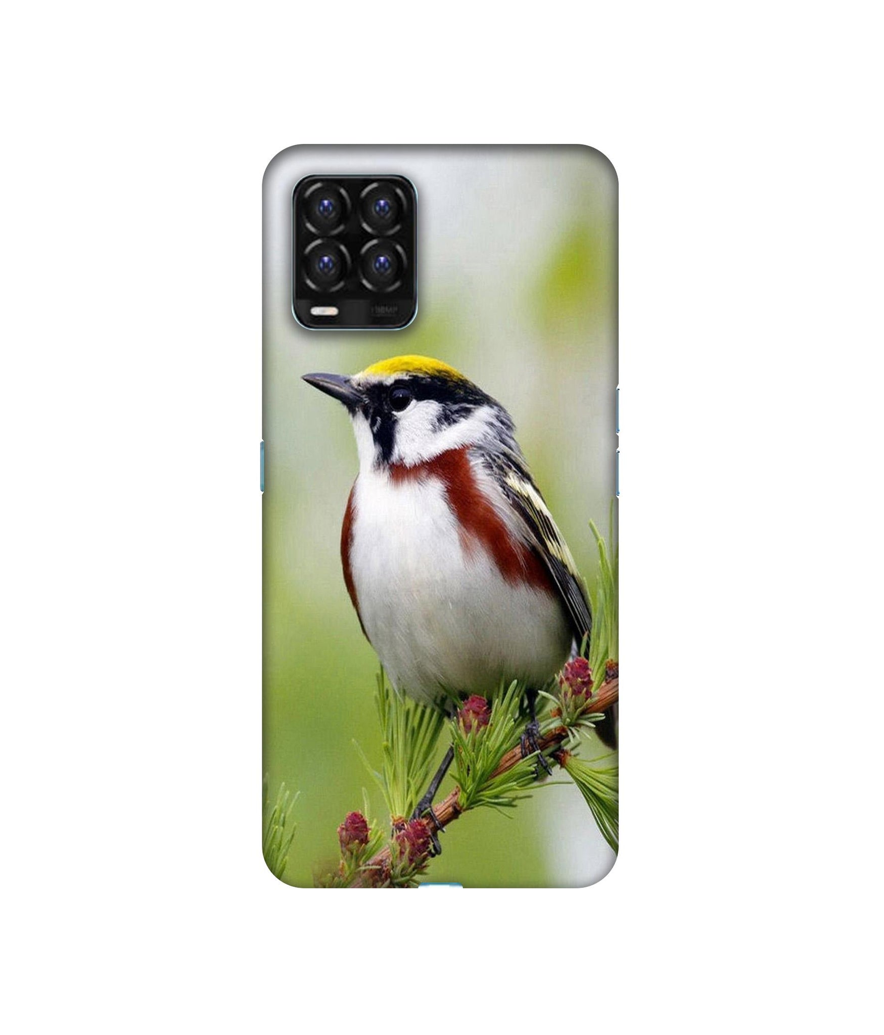 Realme 8 / Realme 8 Pro