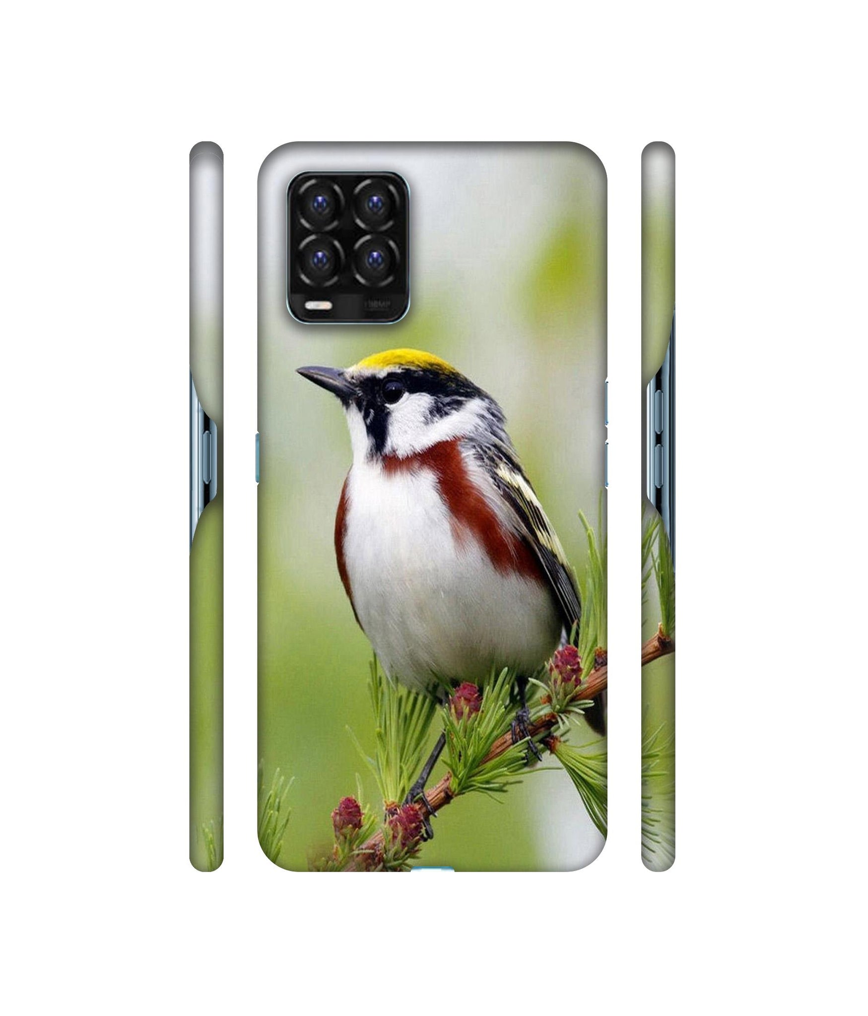 Bird Pattern Designer Hard Back Cover for Realme 8 / Realme 8 Pro