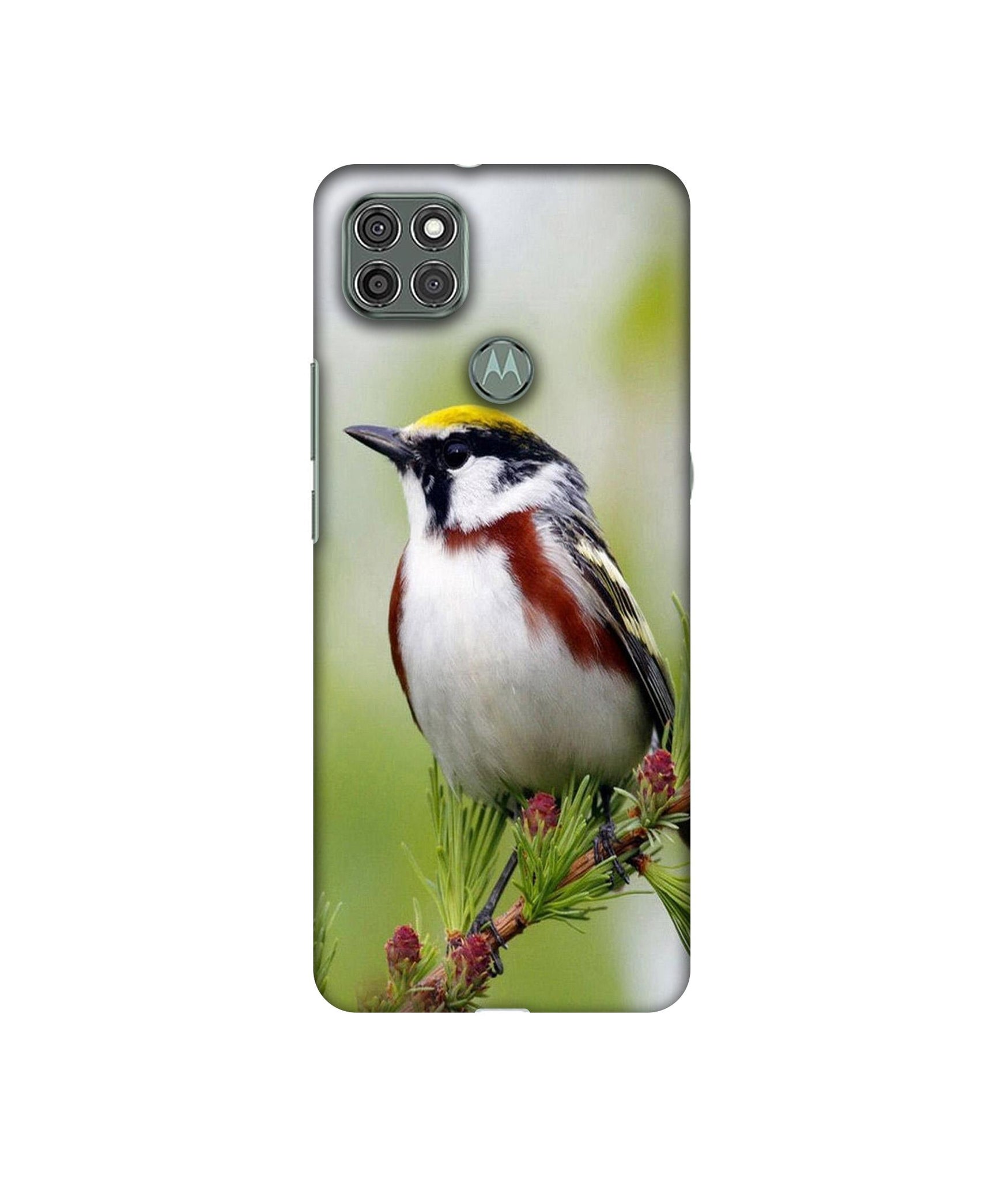 Motorola Moto G9 Power