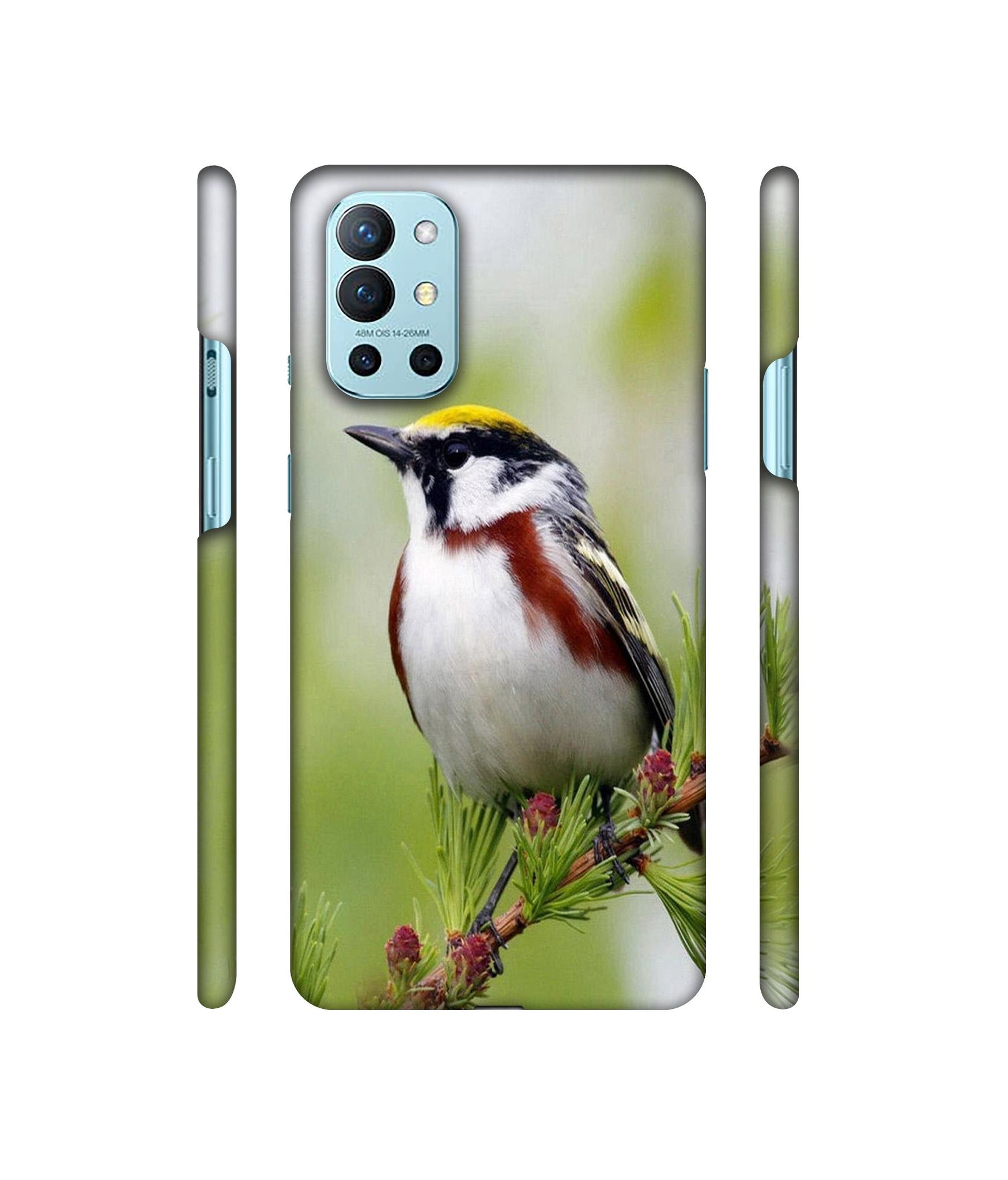 Bird Pattern Designer Hard Back Cover for OnePlus 9R