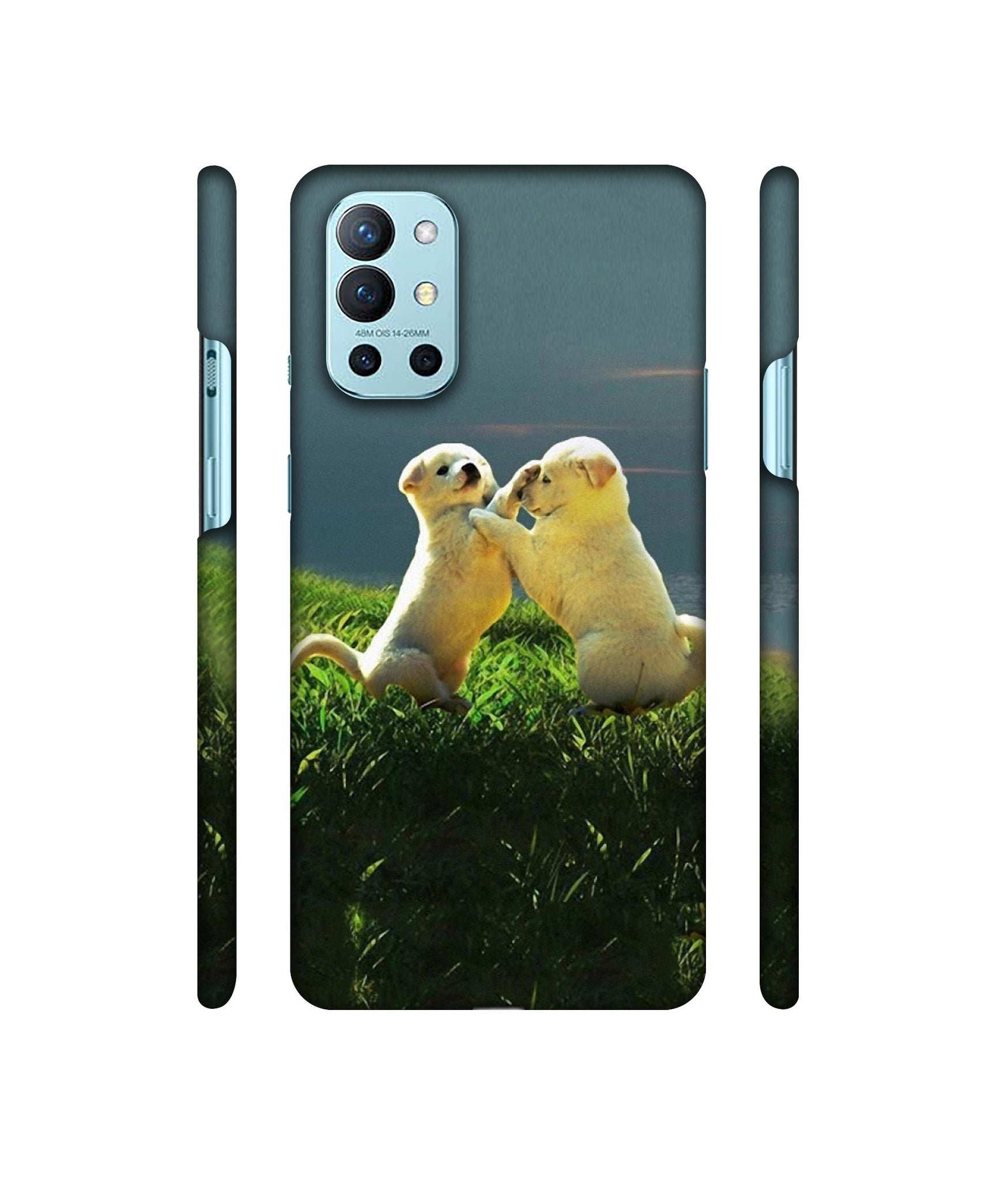 Puppy Couple Sunset Designer Hard Back Cover for OnePlus 9R