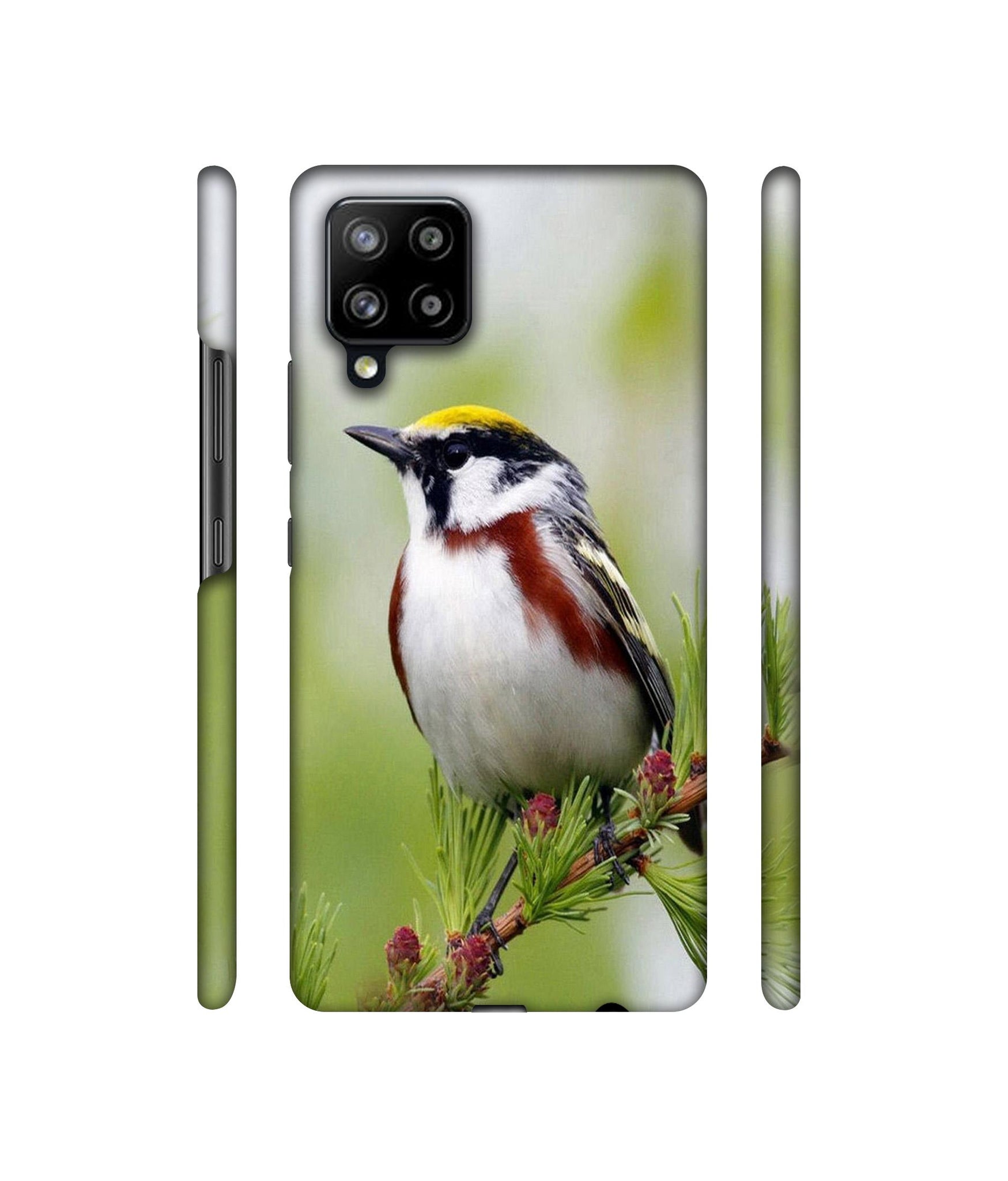 Bird Pattern Designer Hard Back Cover for Samsung Galaxy M42 5G / A42 5G