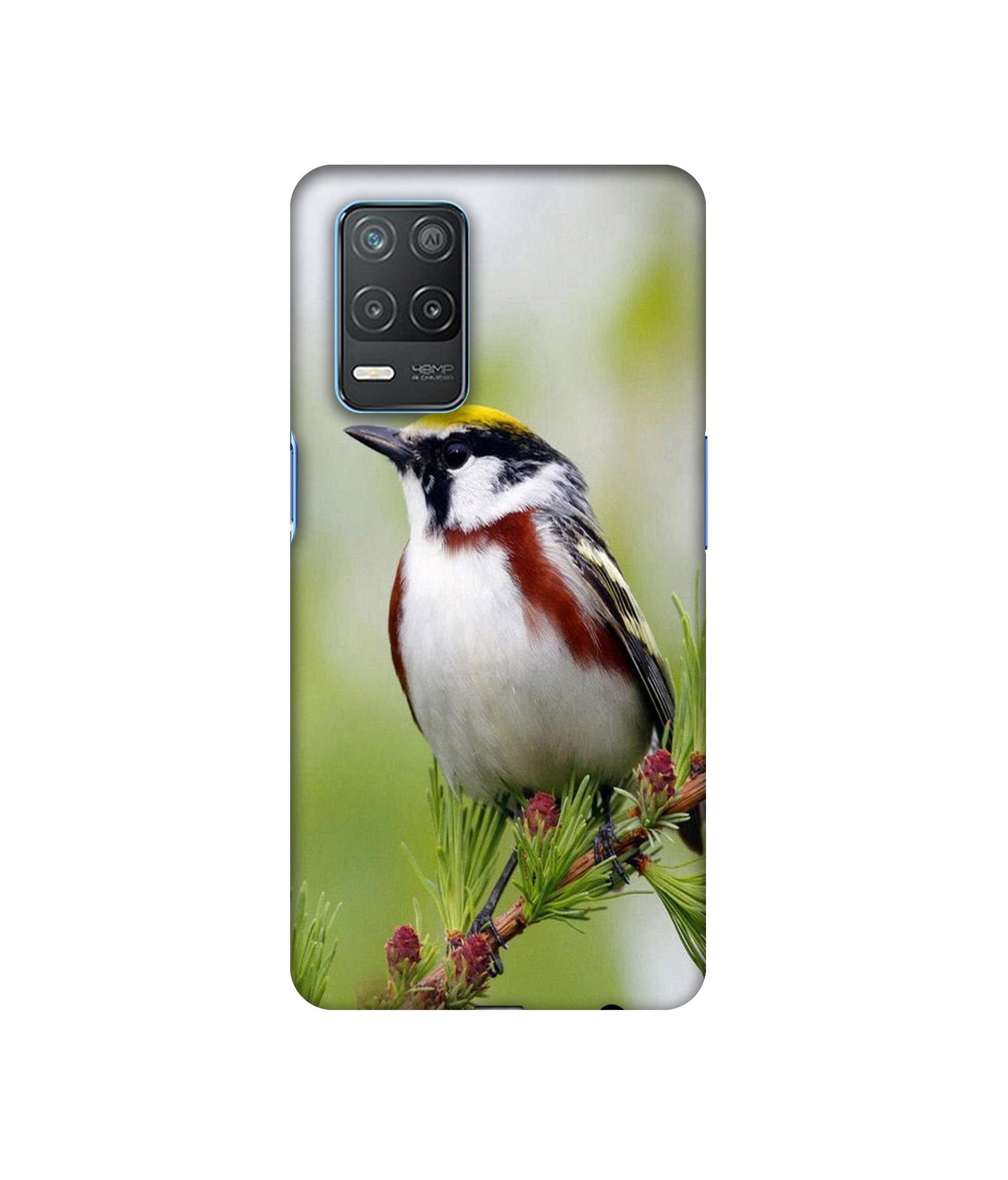 Realme 8 5G / Realme 8s 5G