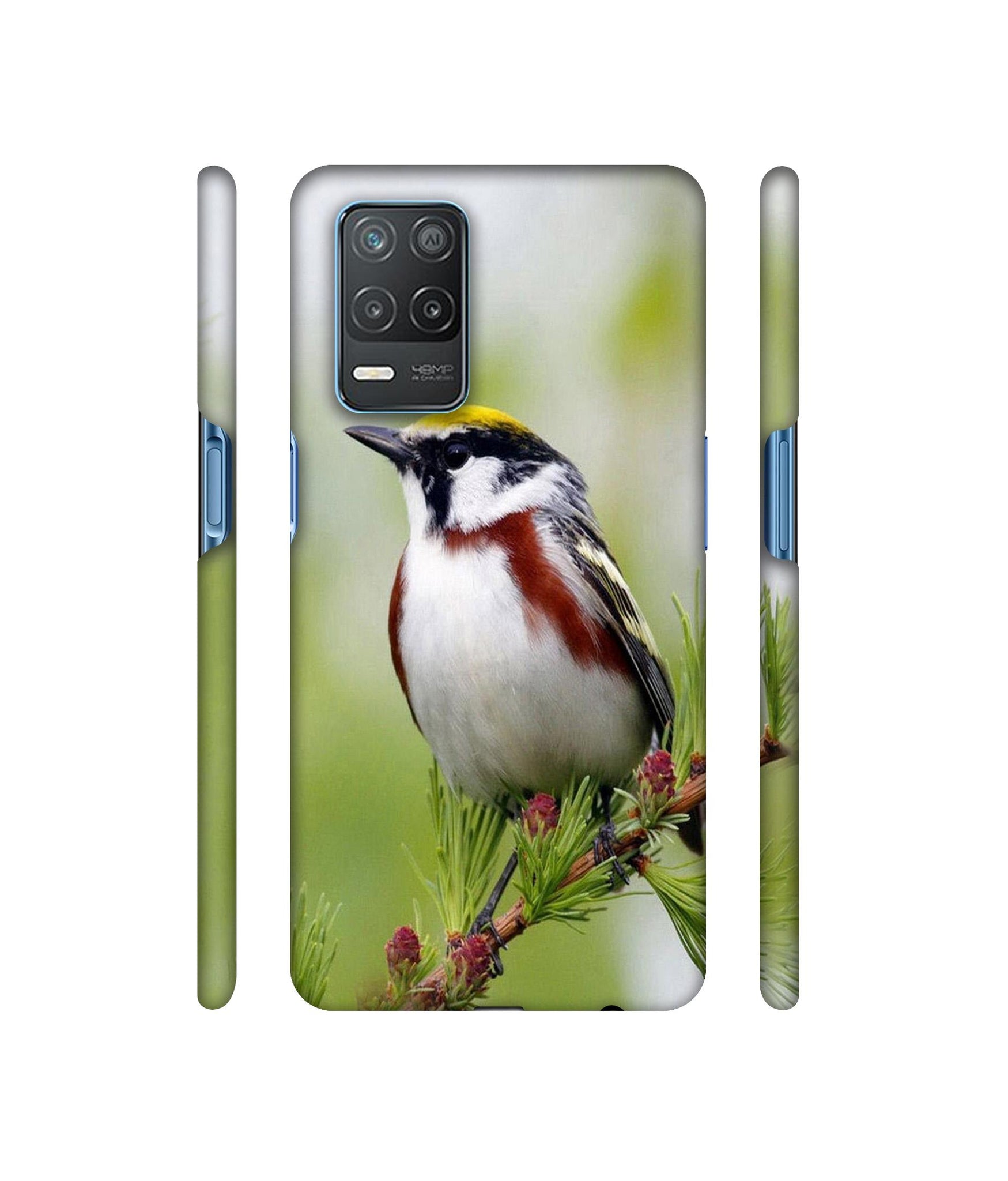 Bird Pattern Designer Hard Back Cover for Realme 8 5G / Realme 8s 5G
