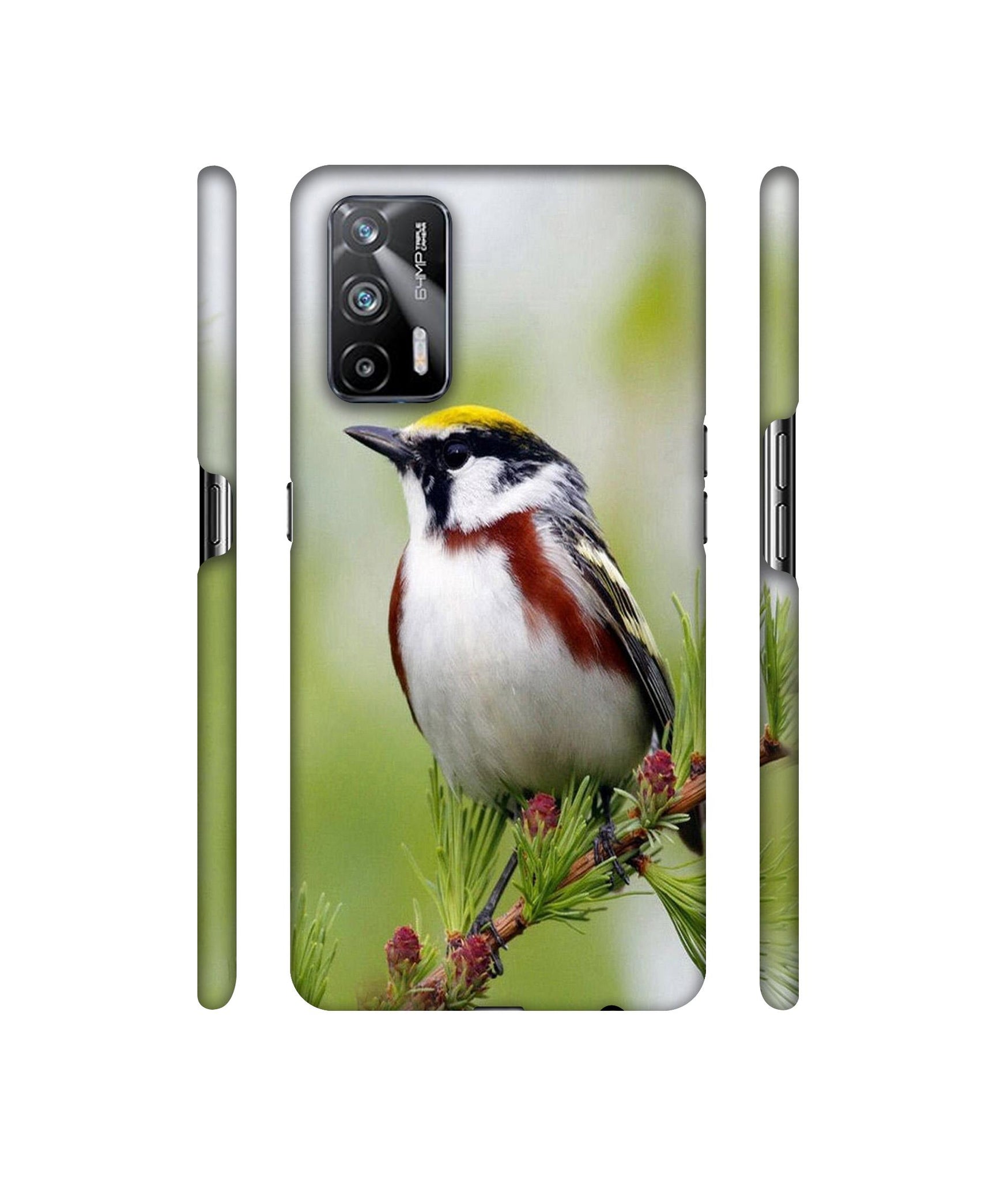 Bird Pattern Designer Hard Back Cover for Realme X7 Max 5G / Realme GT 5G