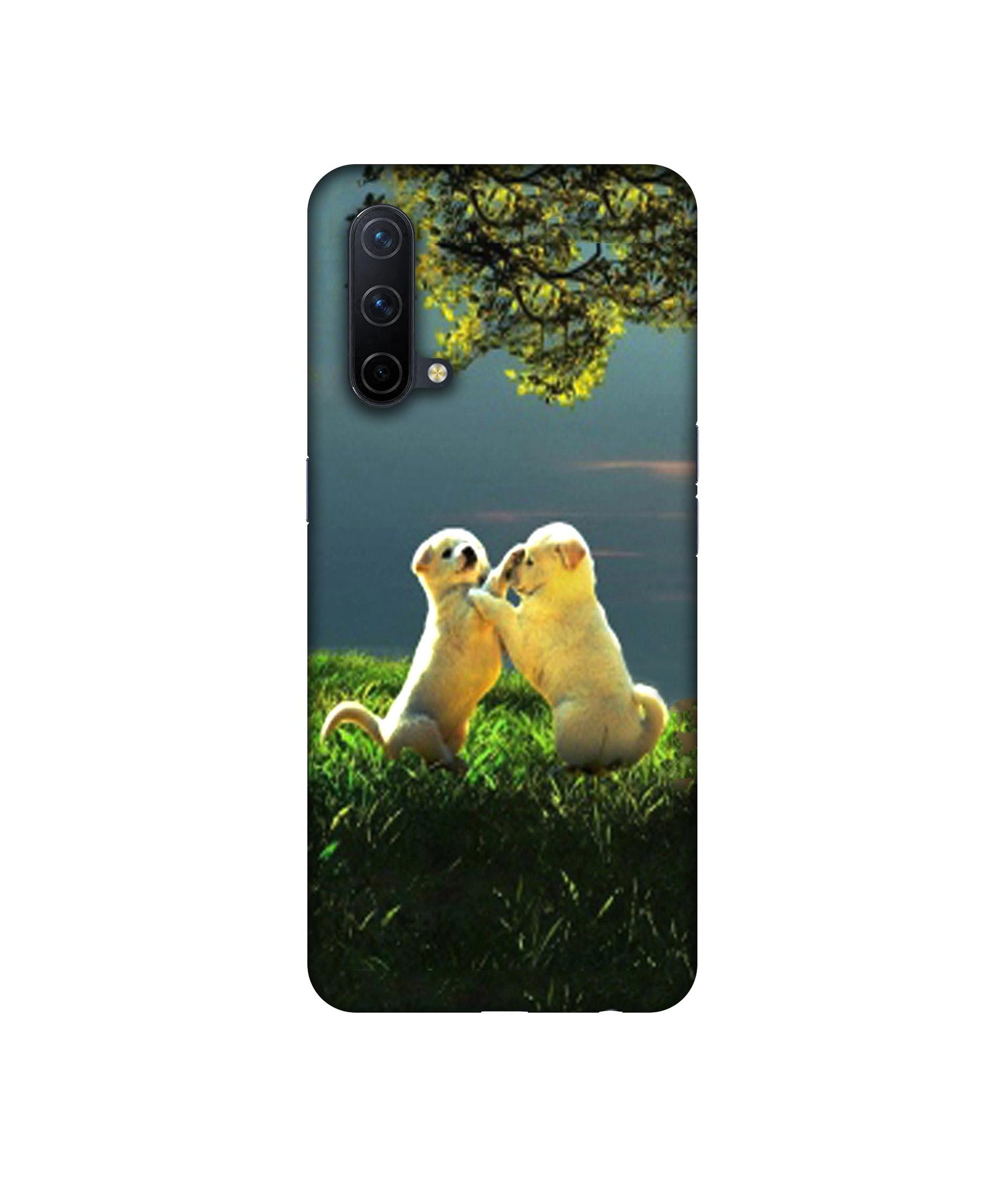OnePlus Nord CE 5G