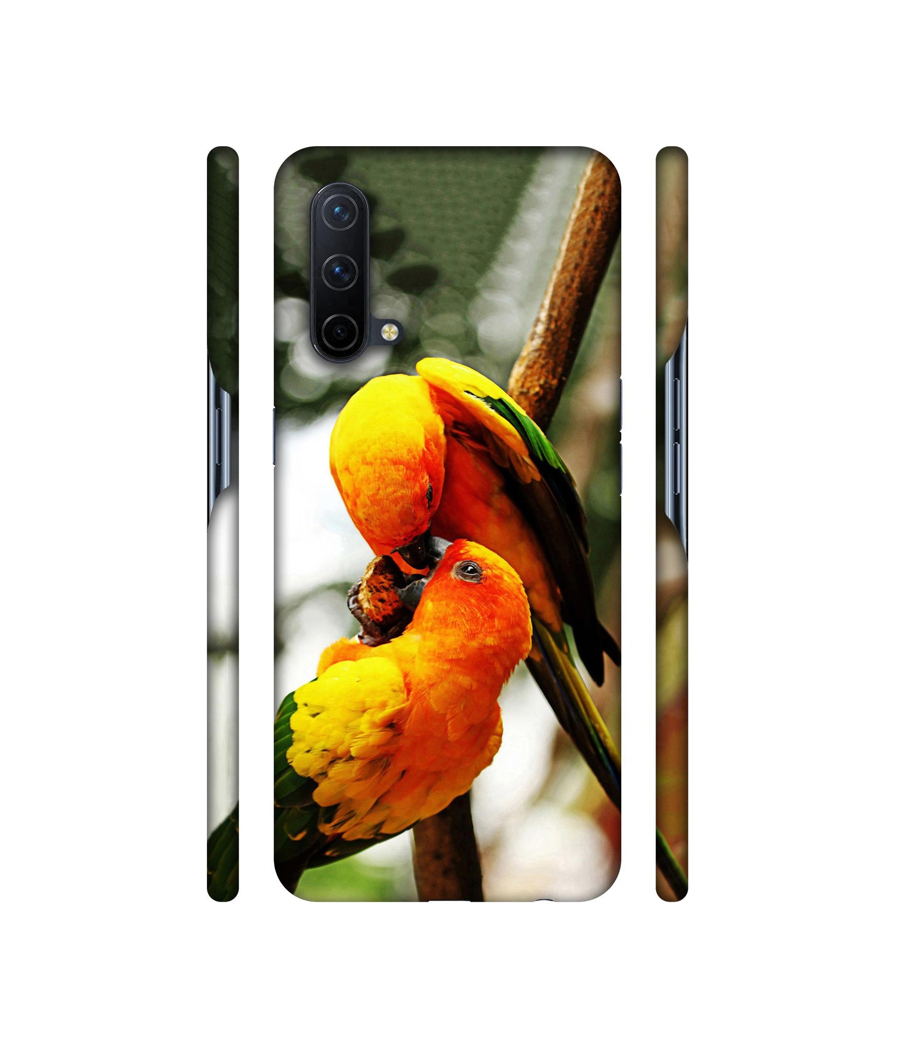 Love Bards Designer Hard Back Cover for OnePlus Nord CE 5G