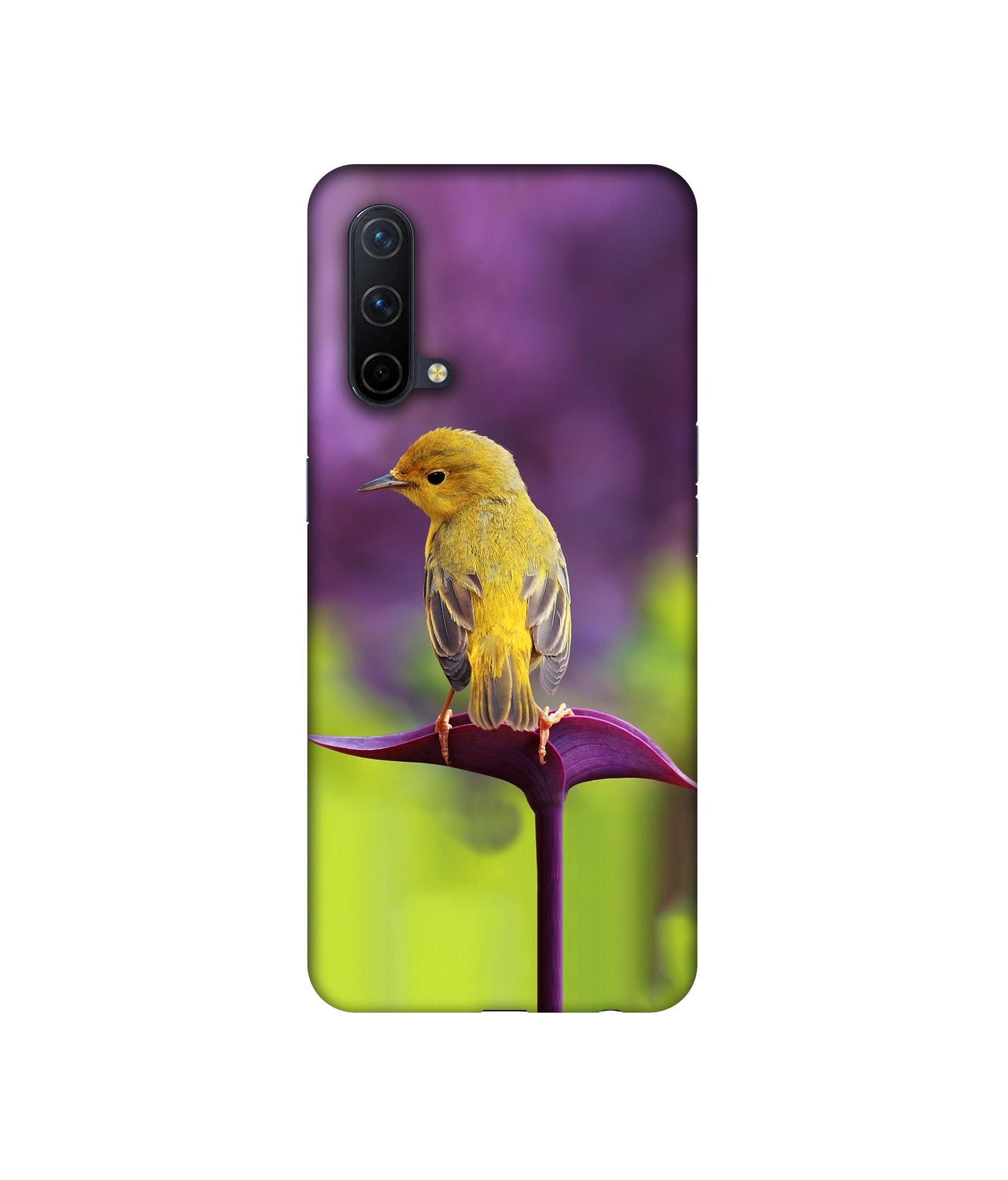 OnePlus Nord CE 5G