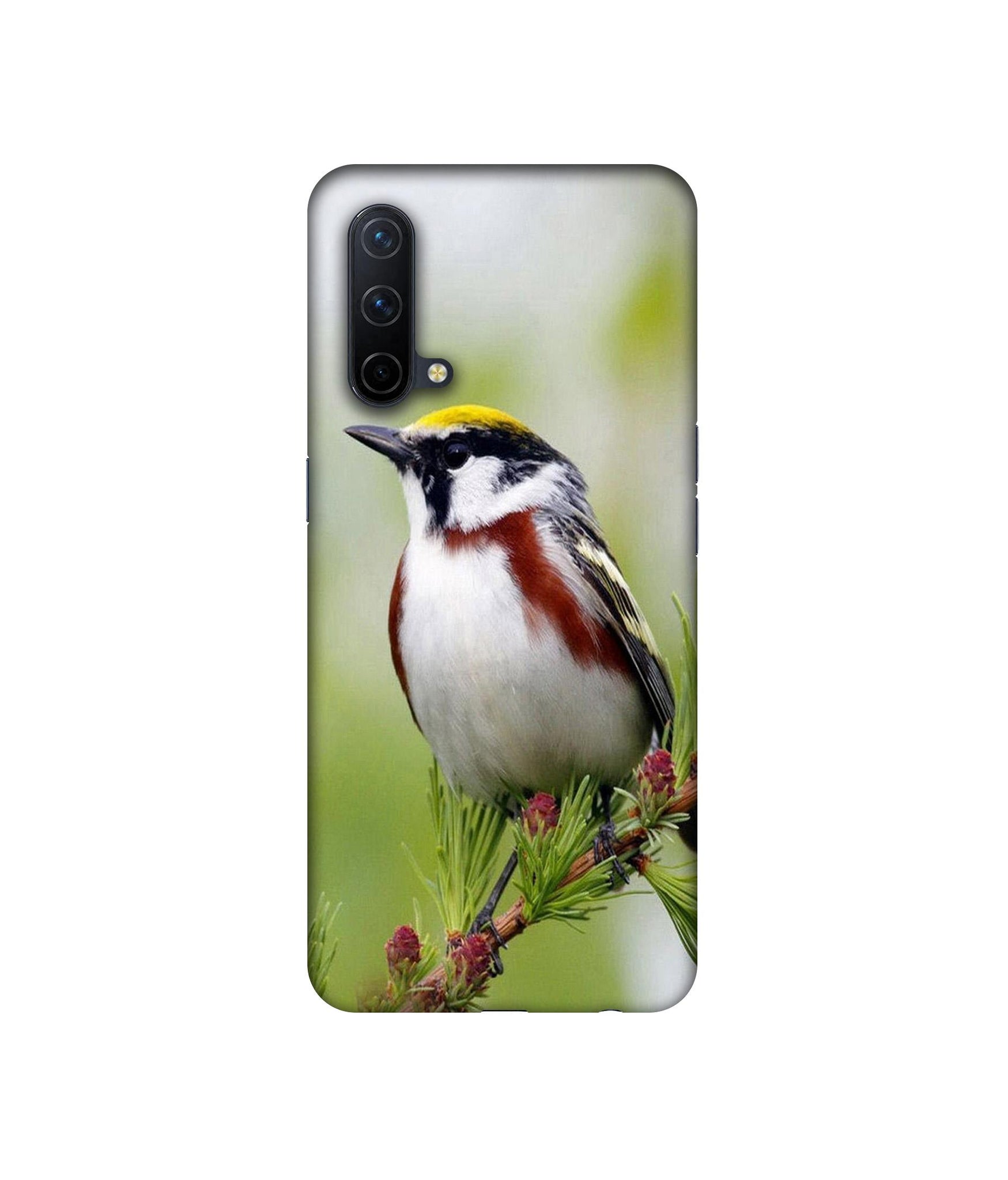 OnePlus Nord CE 5G