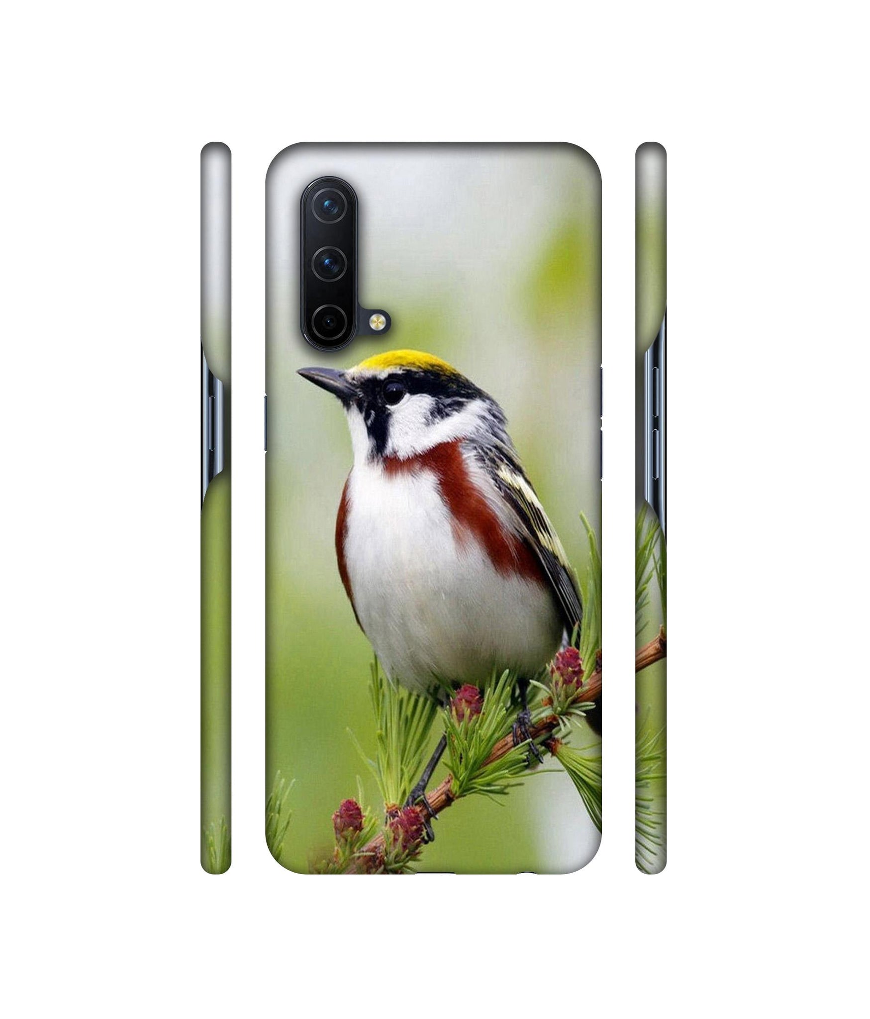 Bird Pattern Designer Hard Back Cover for OnePlus Nord CE 5G