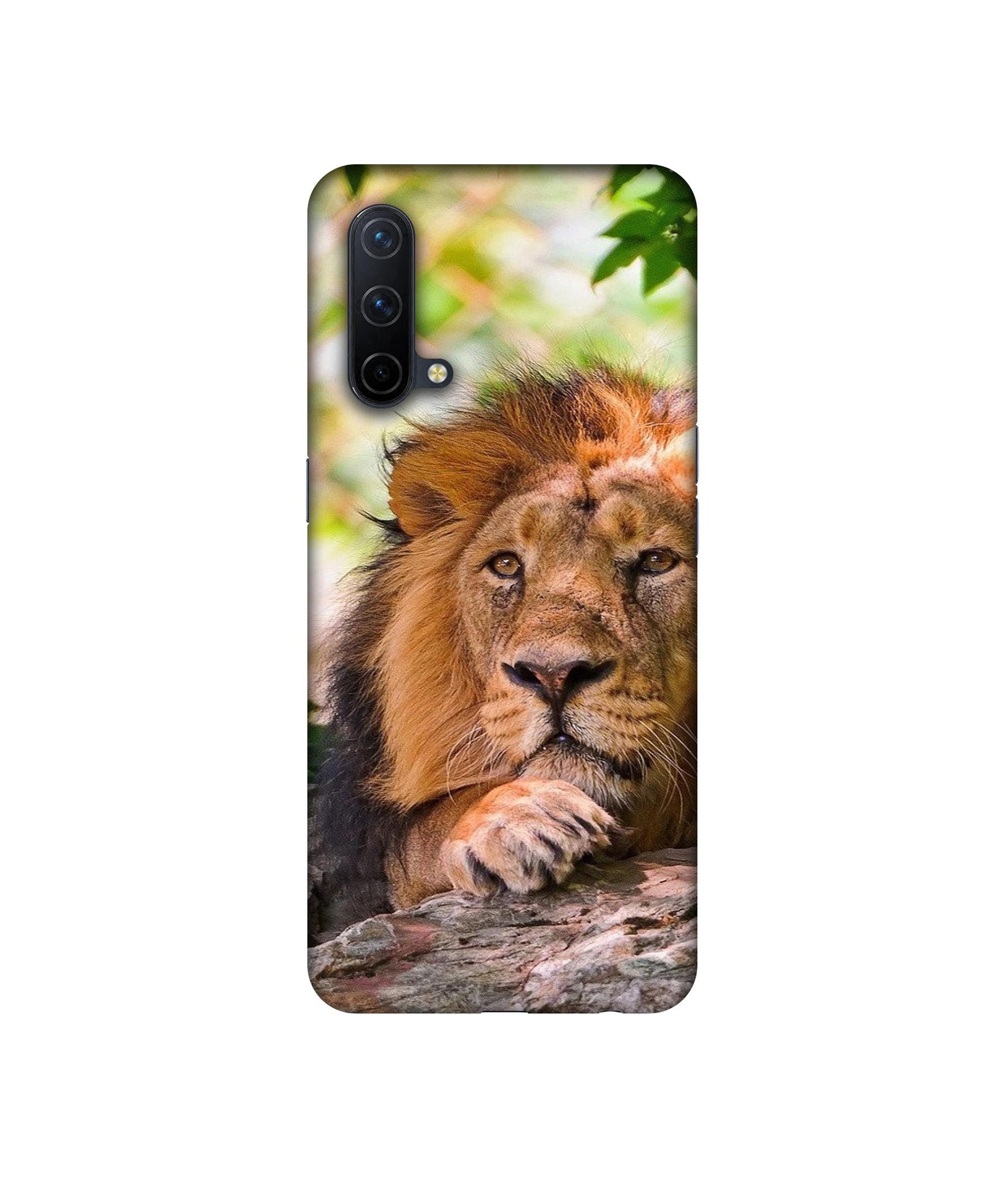 OnePlus Nord CE 5G