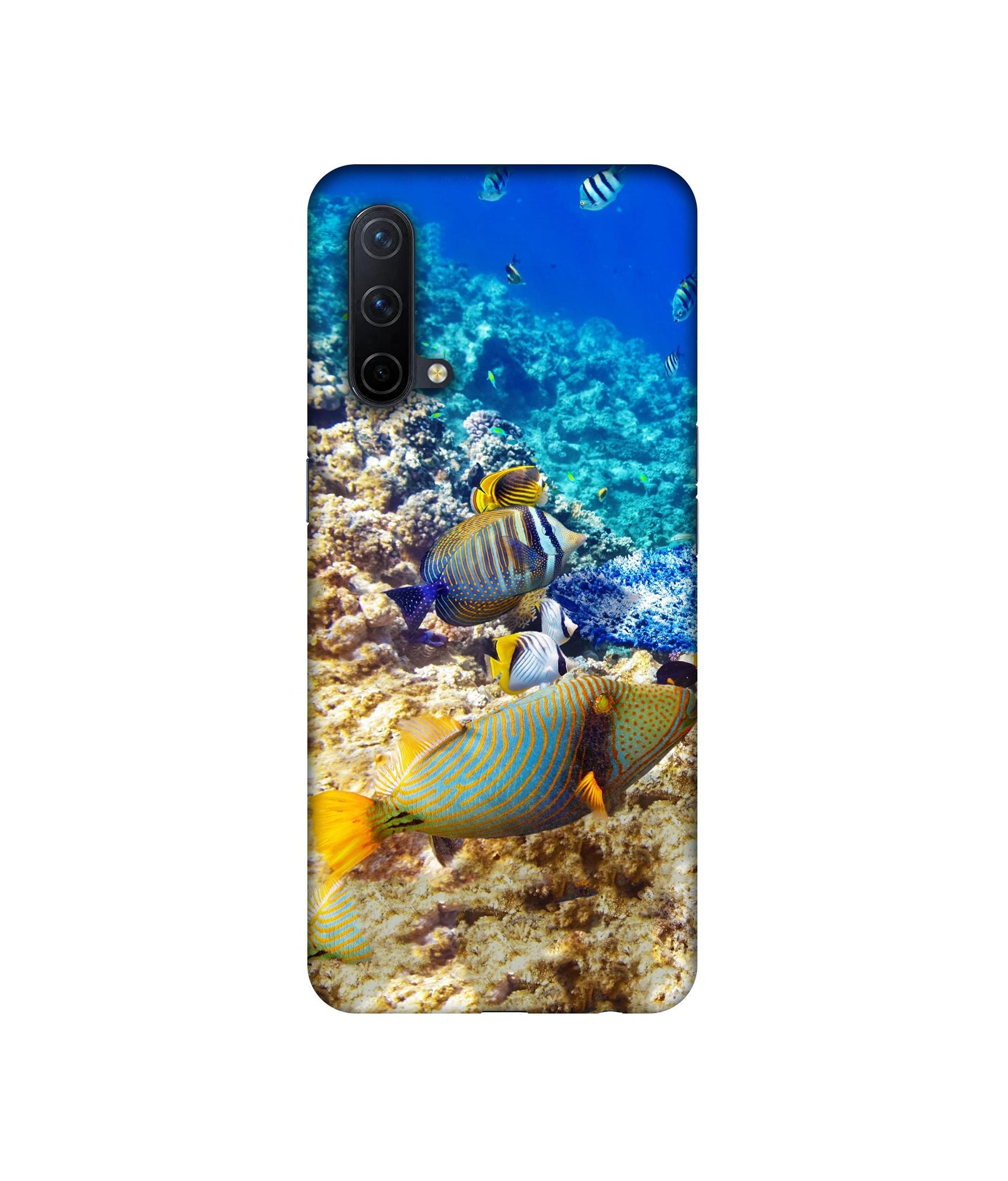 OnePlus Nord CE 5G