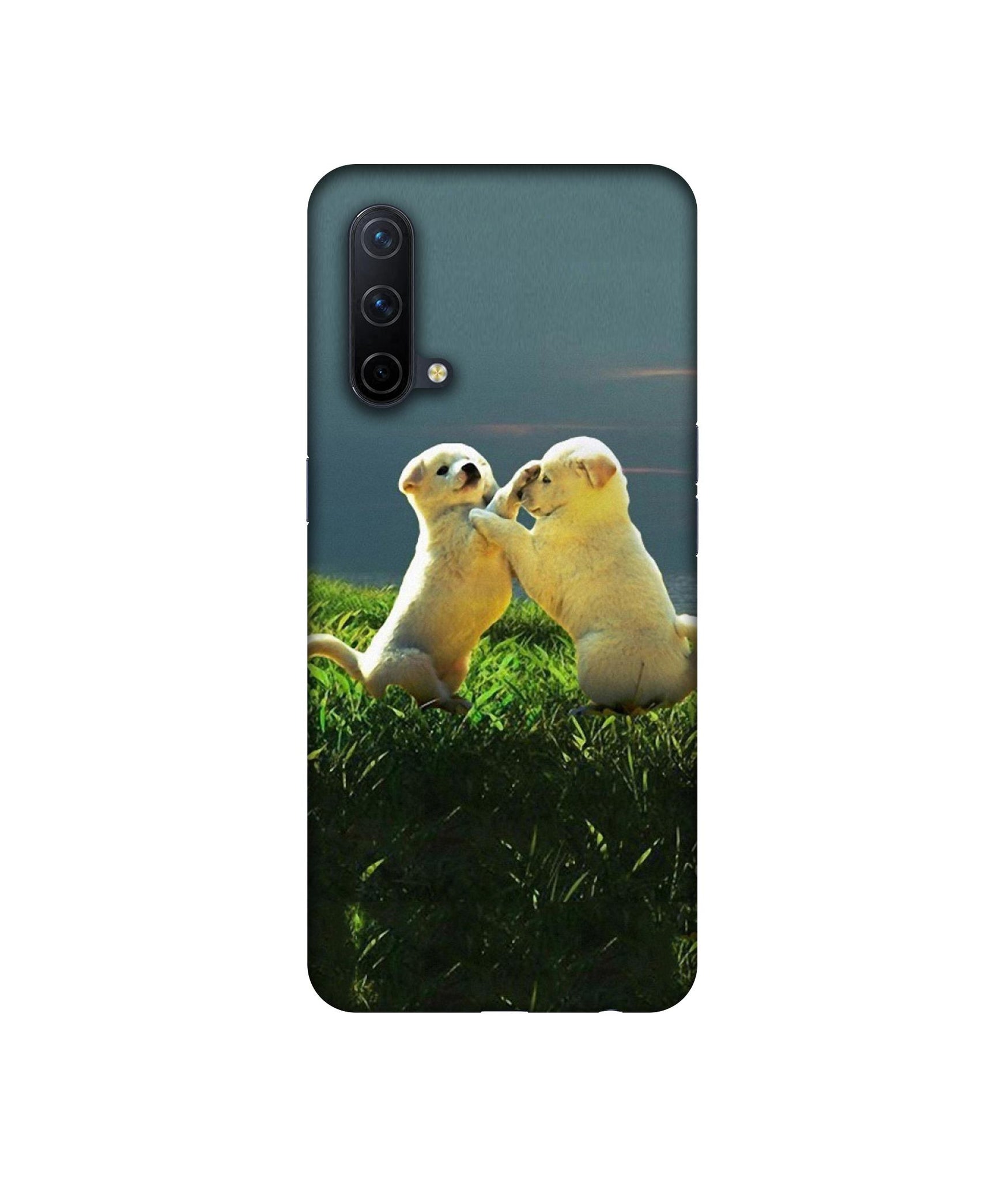 OnePlus Nord CE 5G