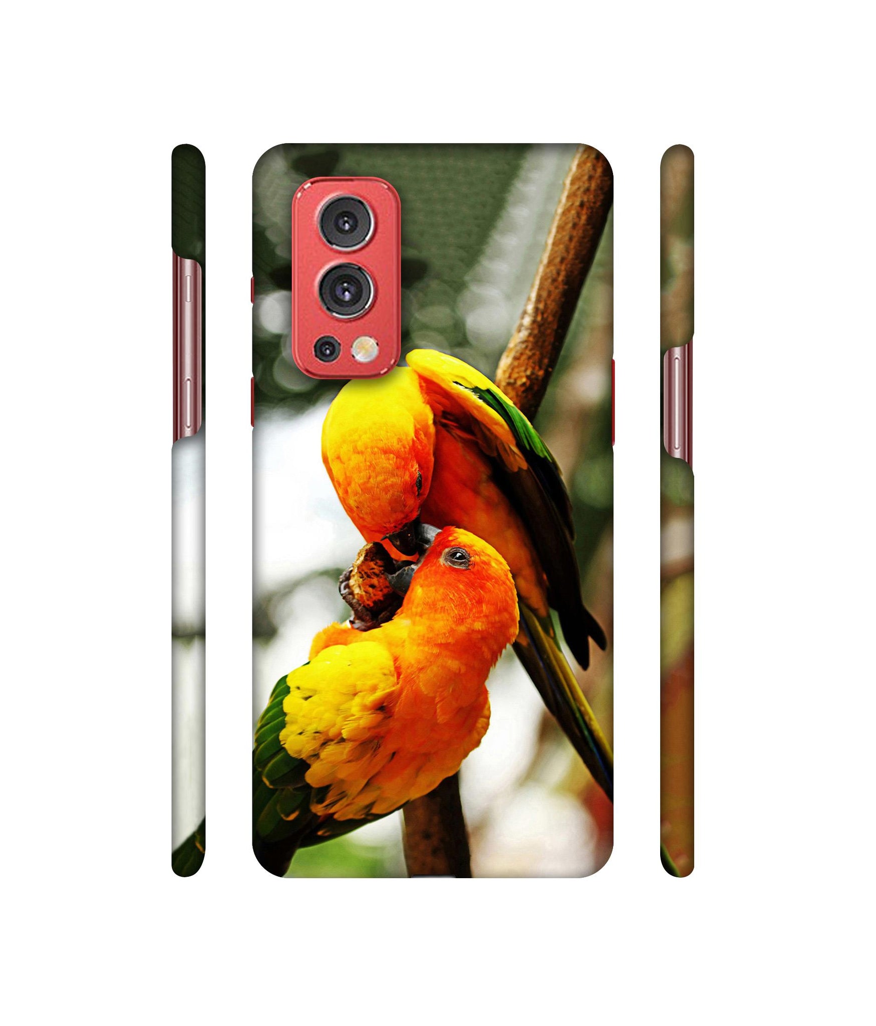 Love Bards Designer Hard Back Cover for OnePlus Nord2 5G