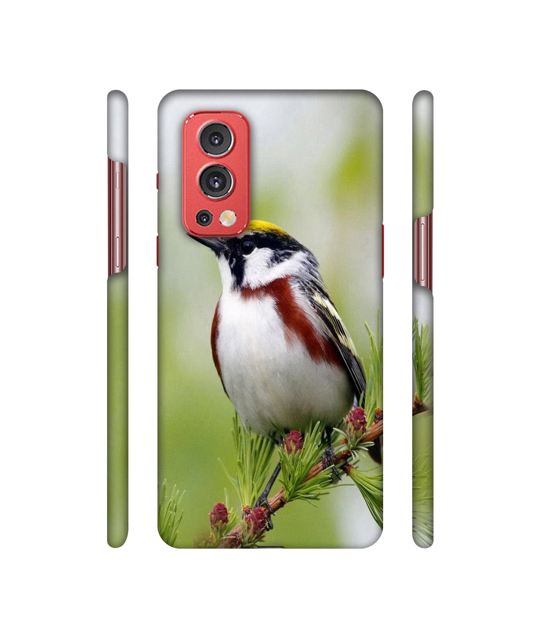 Bird Pattern Designer Hard Back Cover for OnePlus Nord2 5G