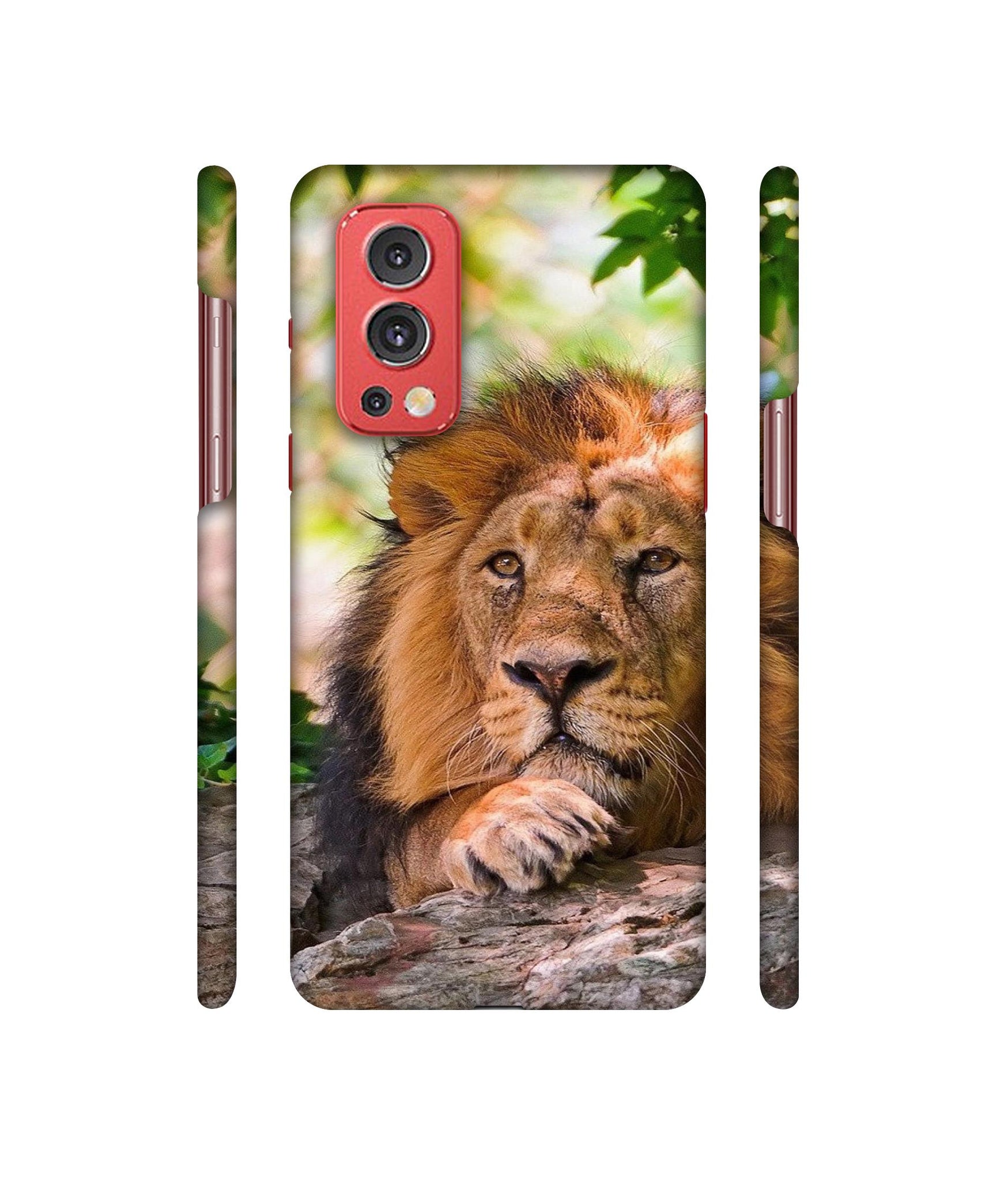 Tiger Pattern Print Designer Hard Back Cover for OnePlus Nord2 5G