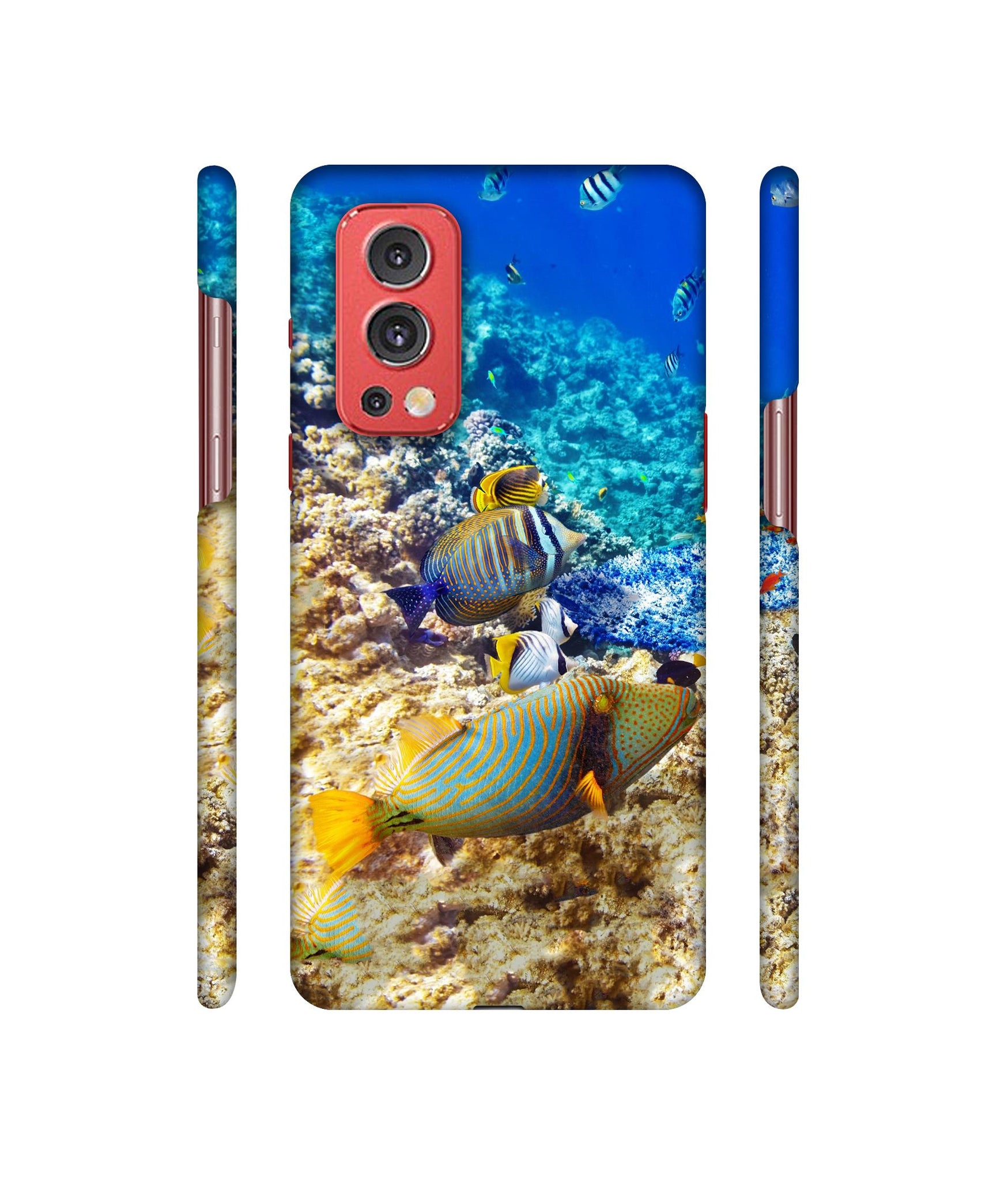 Underwater World Designer Hard Back Cover for OnePlus Nord2 5G