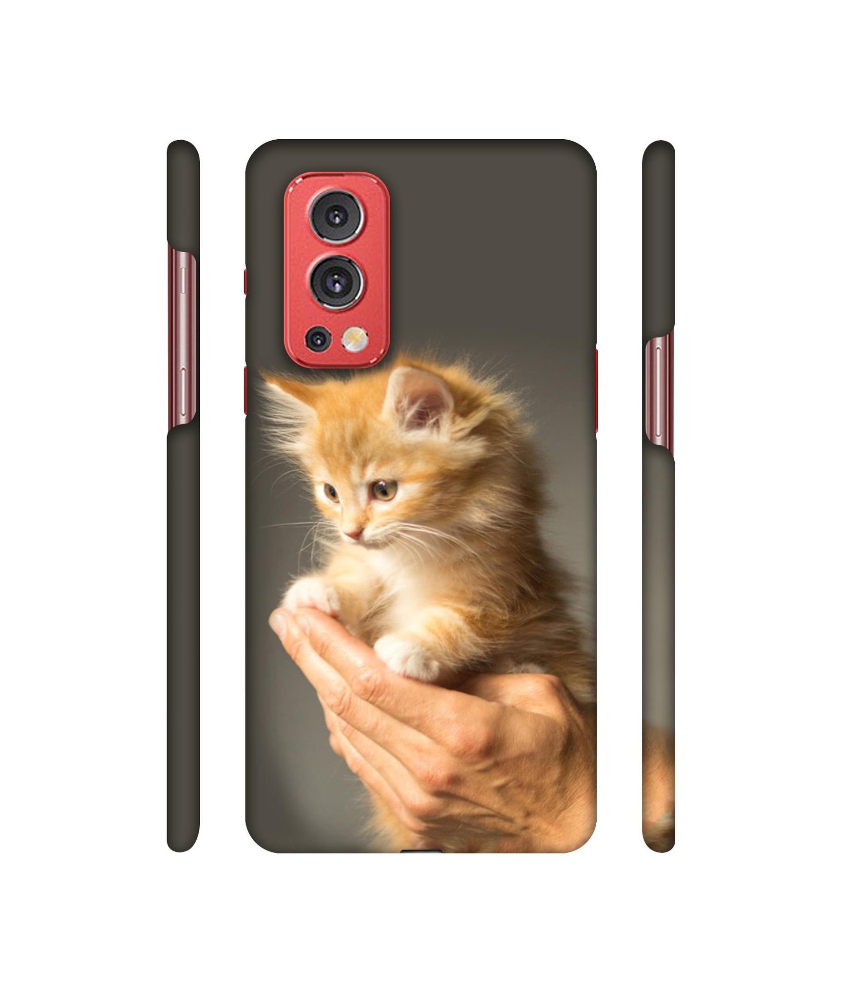 Cute Kitten Designer Hard Back Cover for OnePlus Nord2 5G