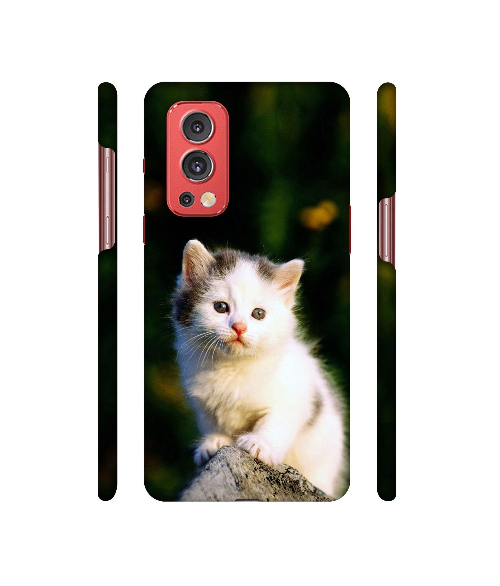 Sweet Cat Designer Hard Back Cover for OnePlus Nord2 5G