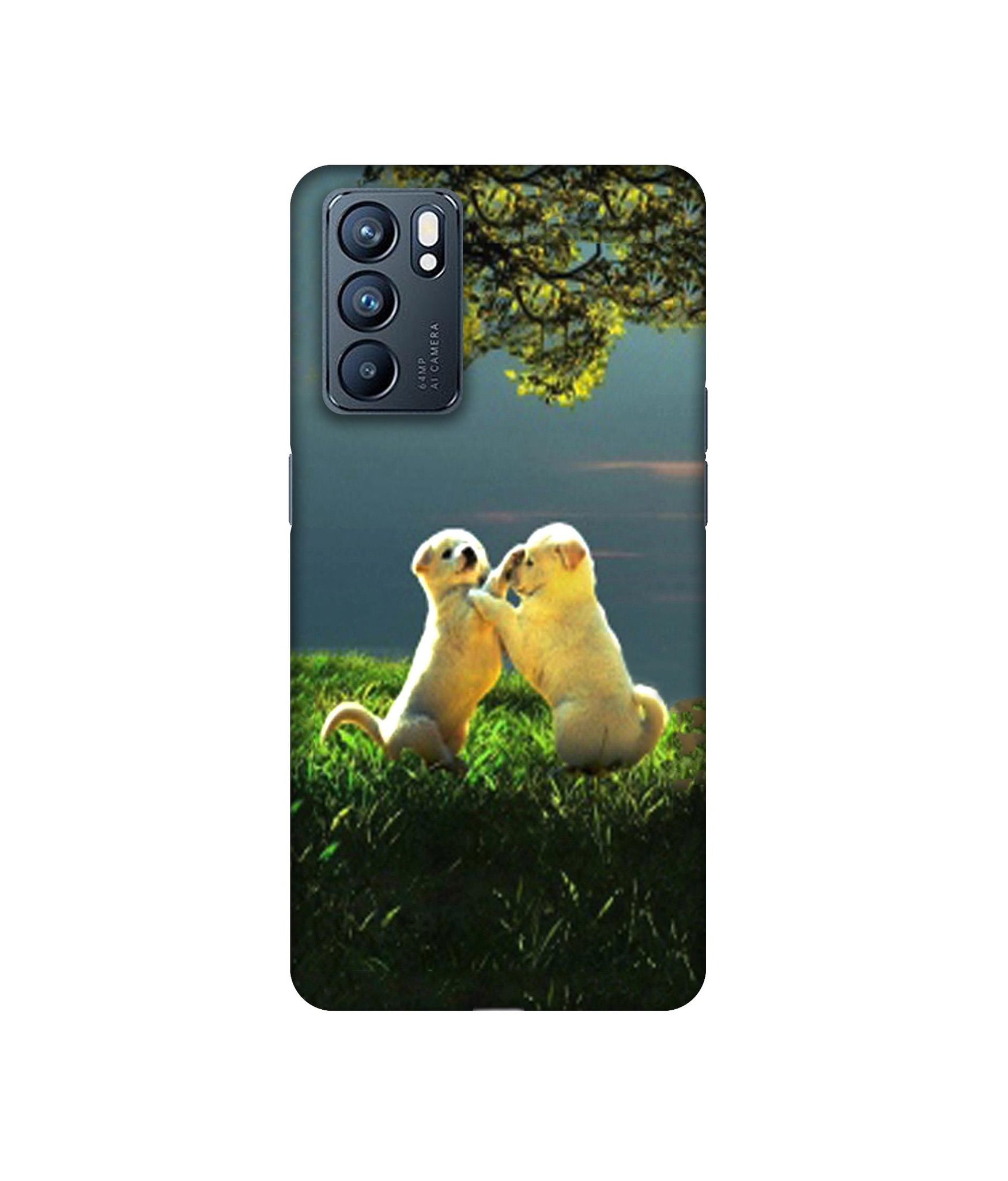 Oppo Reno6 5G