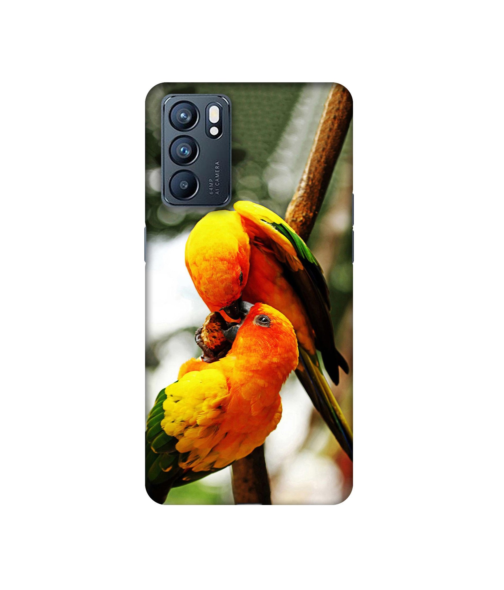 Oppo Reno6 5G