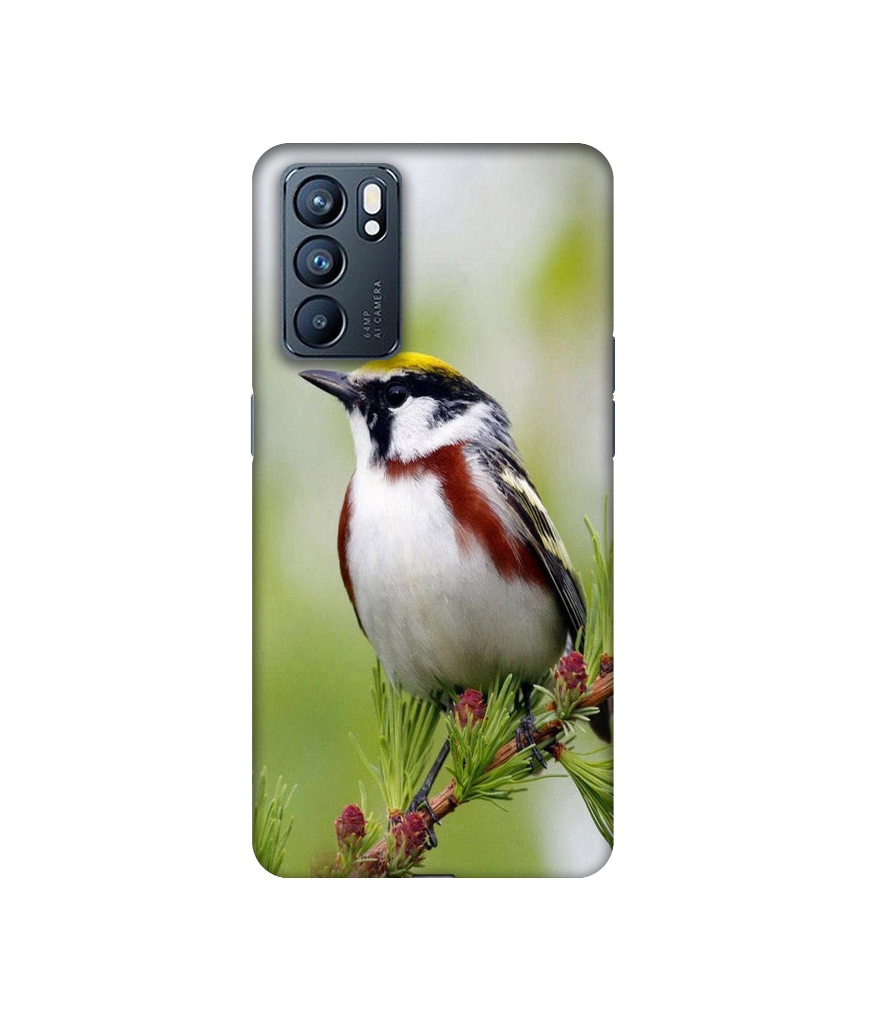 Oppo Reno6 5G