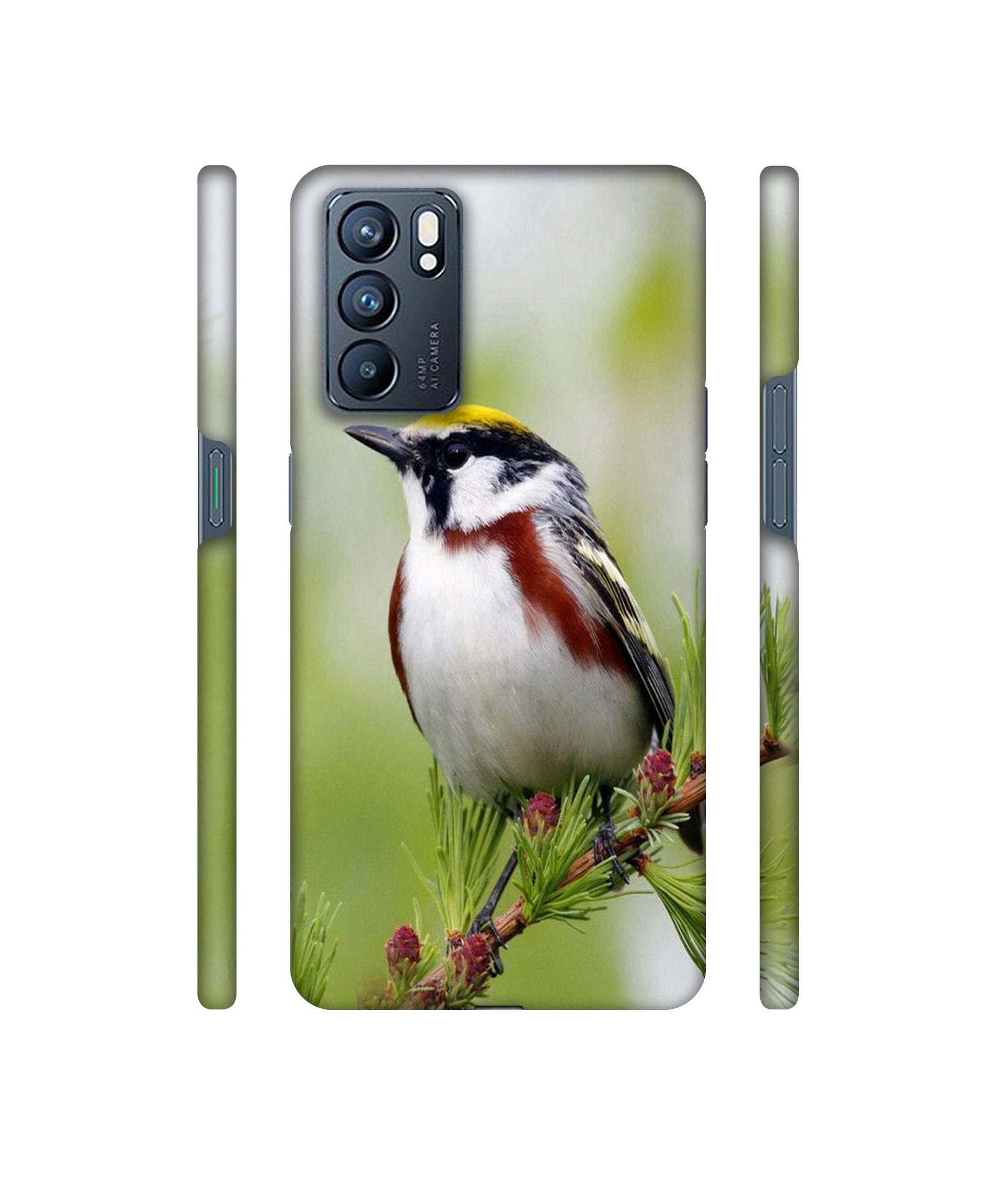 Bird Pattern Designer Hard Back Cover for Oppo Reno6 5G