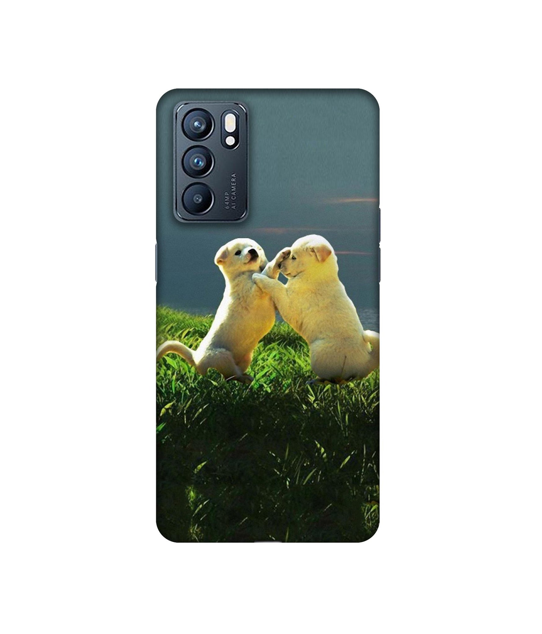 Oppo Reno6 5G