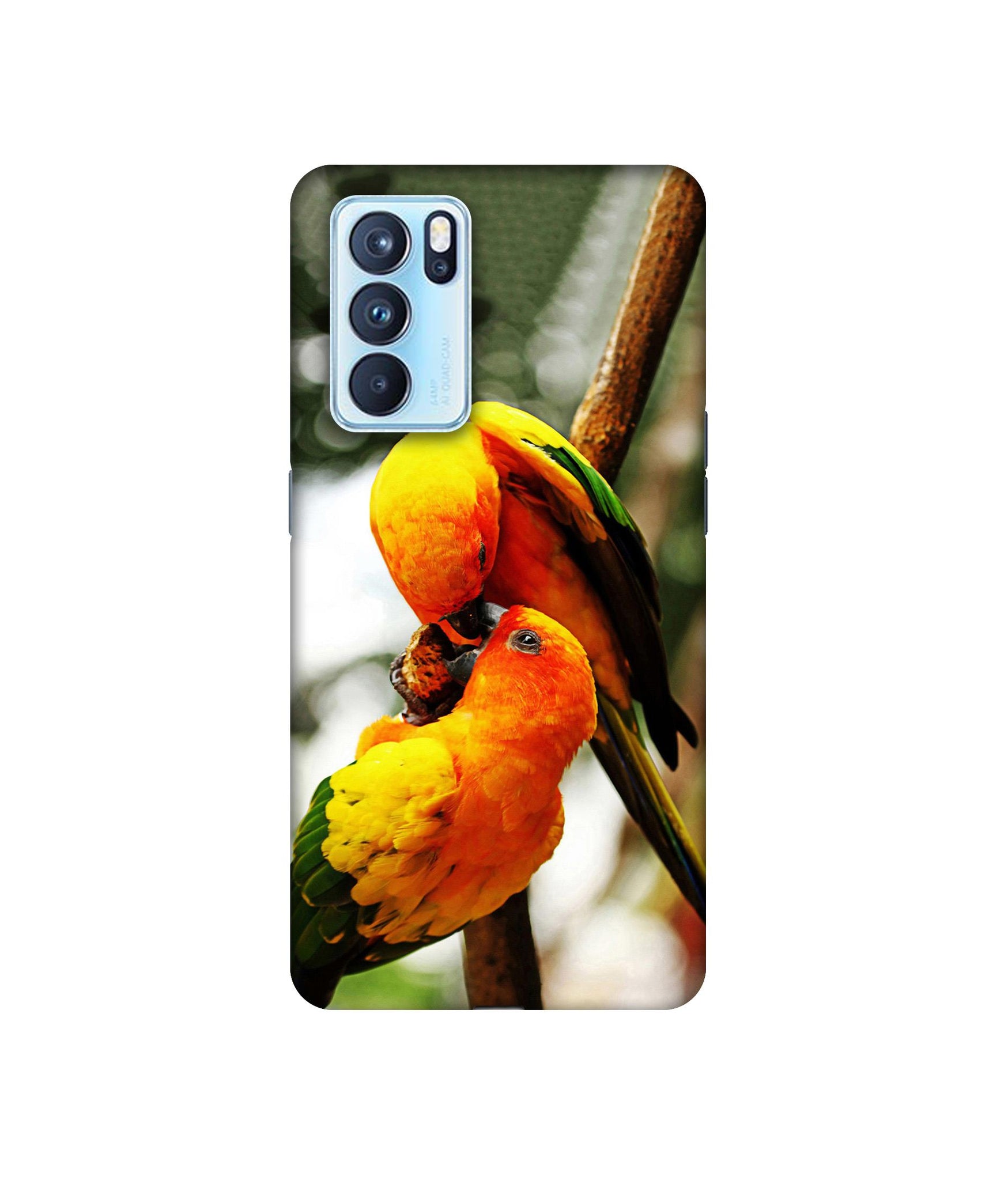 Oppo Reno6 Pro 5G