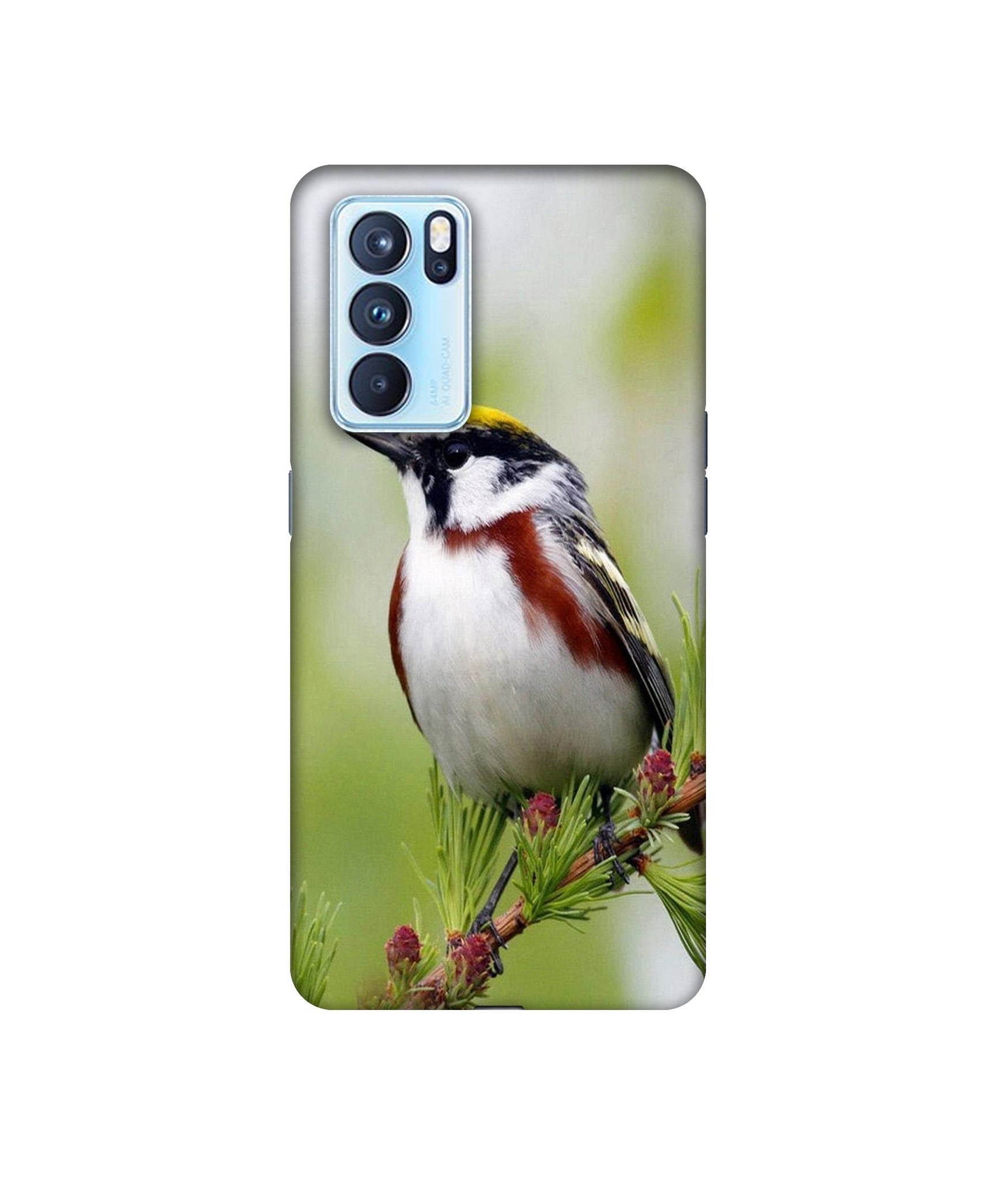 Oppo Reno6 Pro 5G