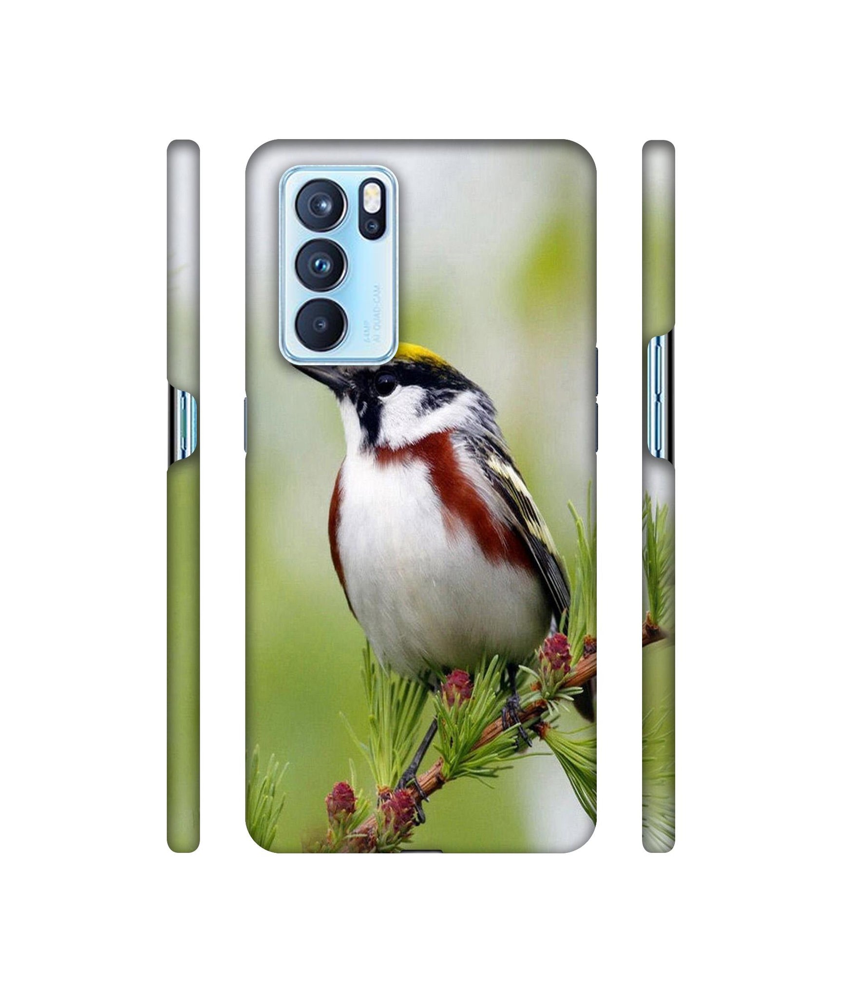 Bird Pattern Designer Hard Back Cover for Oppo Reno6 Pro 5G