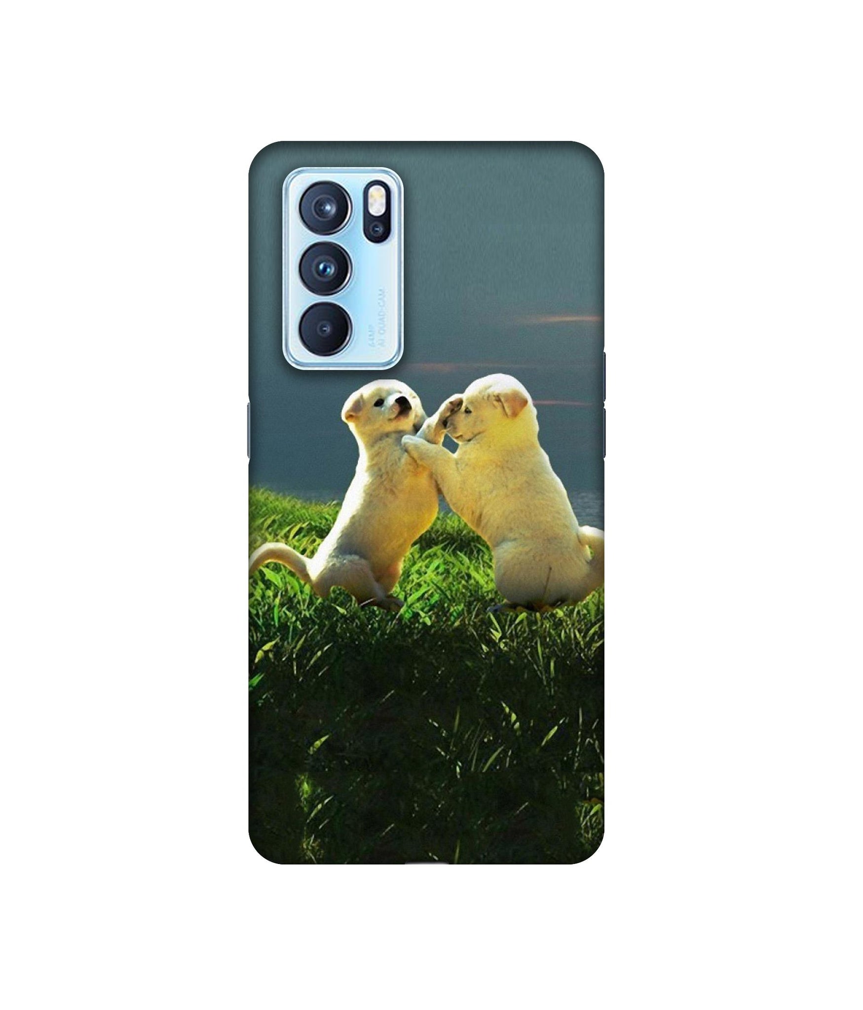 Oppo Reno6 Pro 5G