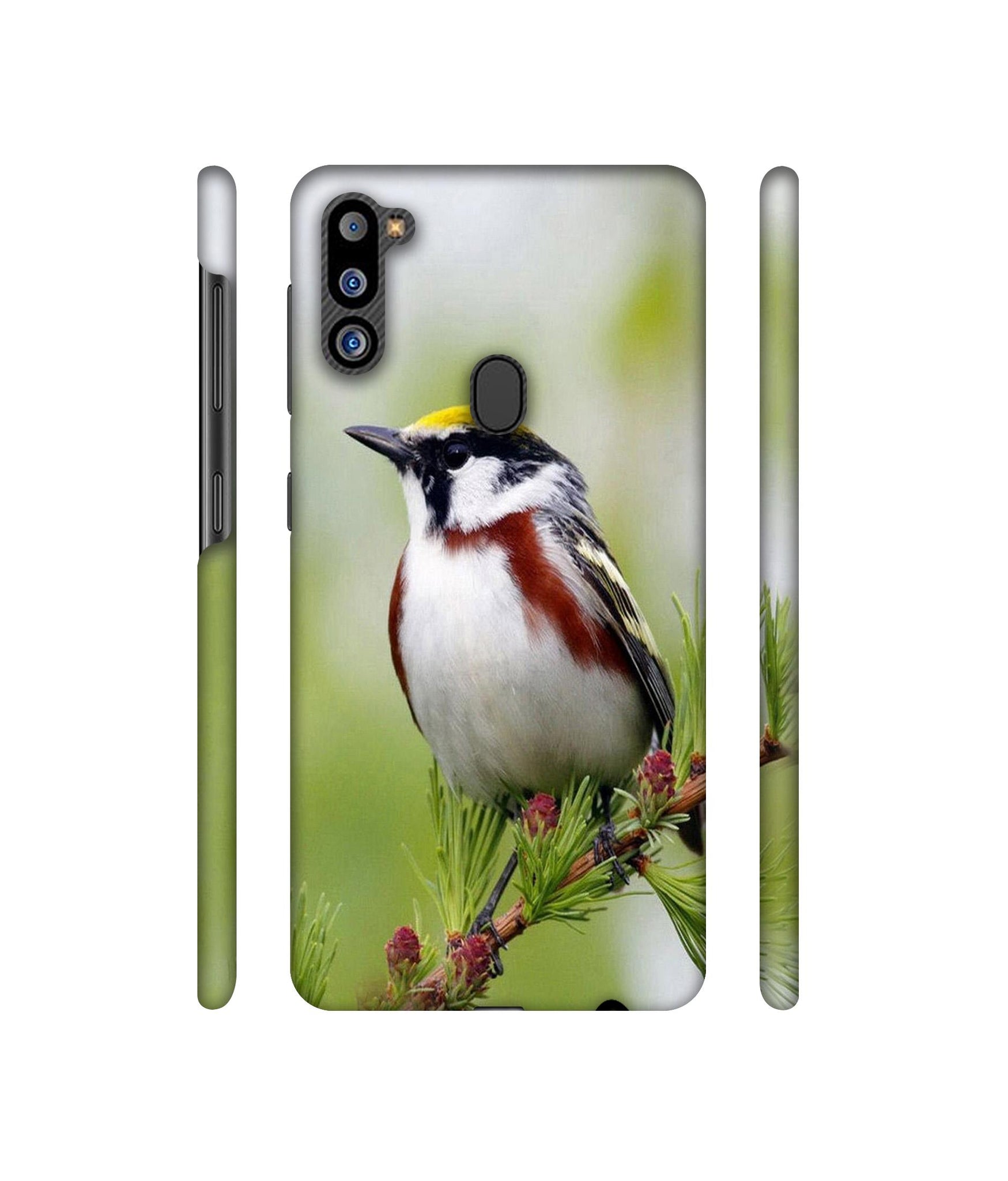 Bird Pattern Designer Hard Back Cover for Samsung Galaxy M21 2021 Edition