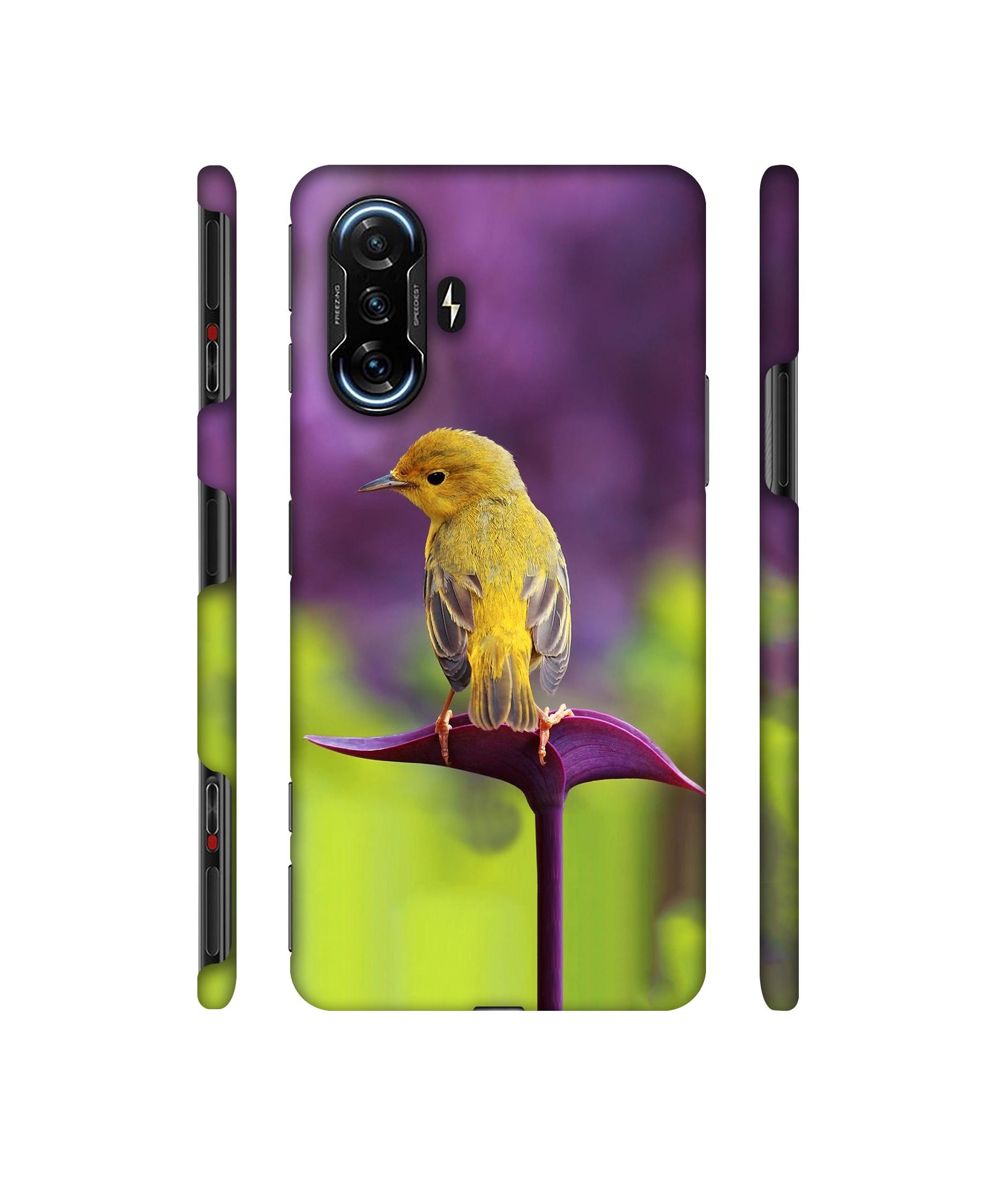 Little Bird Designer Hard Back Cover for Mi Poco F3 GT