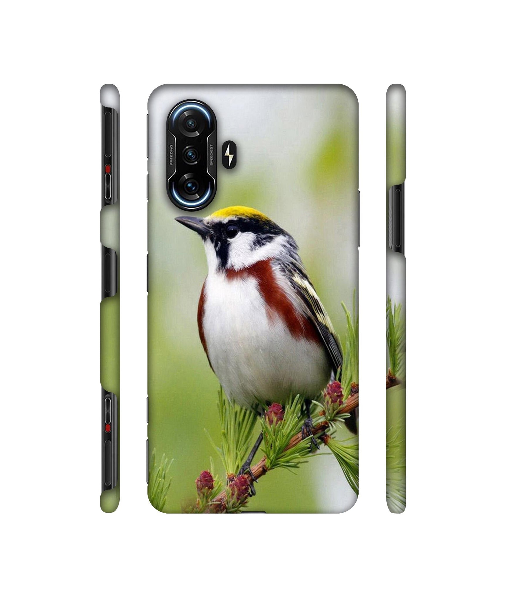 Bird Pattern Designer Hard Back Cover for Mi Poco F3 GT