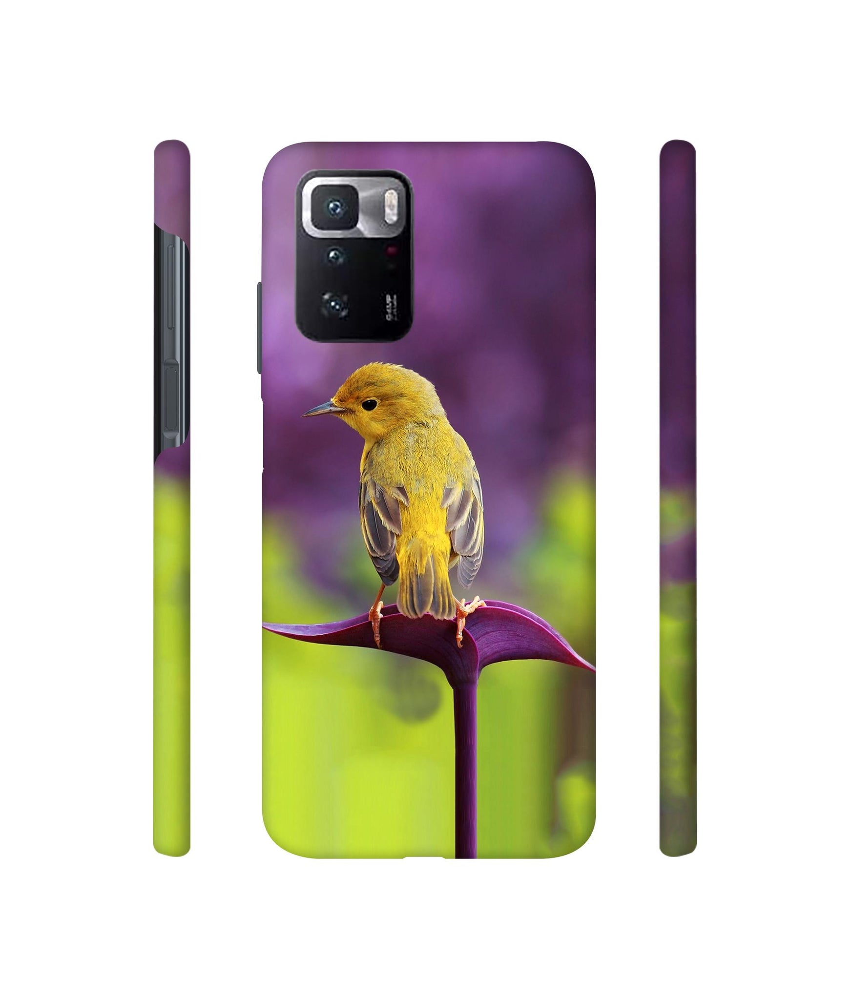 Little Bird Designer Hard Back Cover for Mi Poco X3 GT