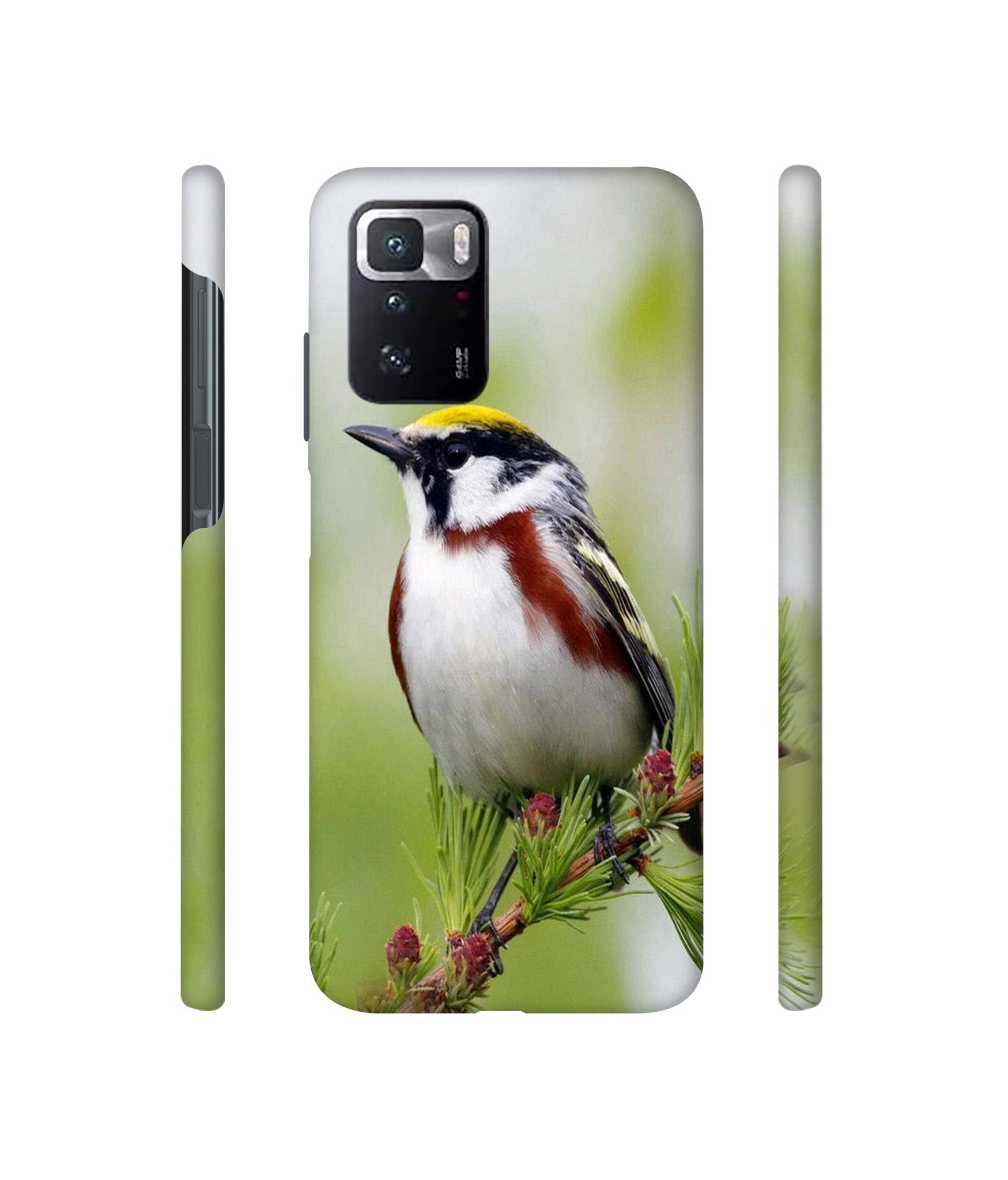 Bird Pattern Designer Hard Back Cover for Mi Poco X3 GT