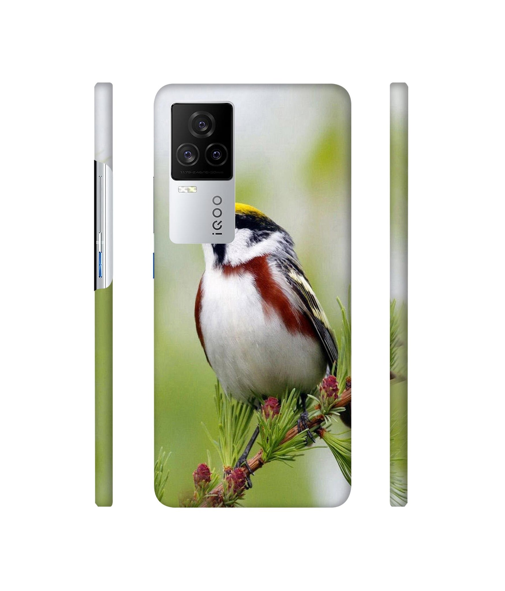 Bird Pattern Designer Hard Back Cover for Vivo iQOO 8 Legend