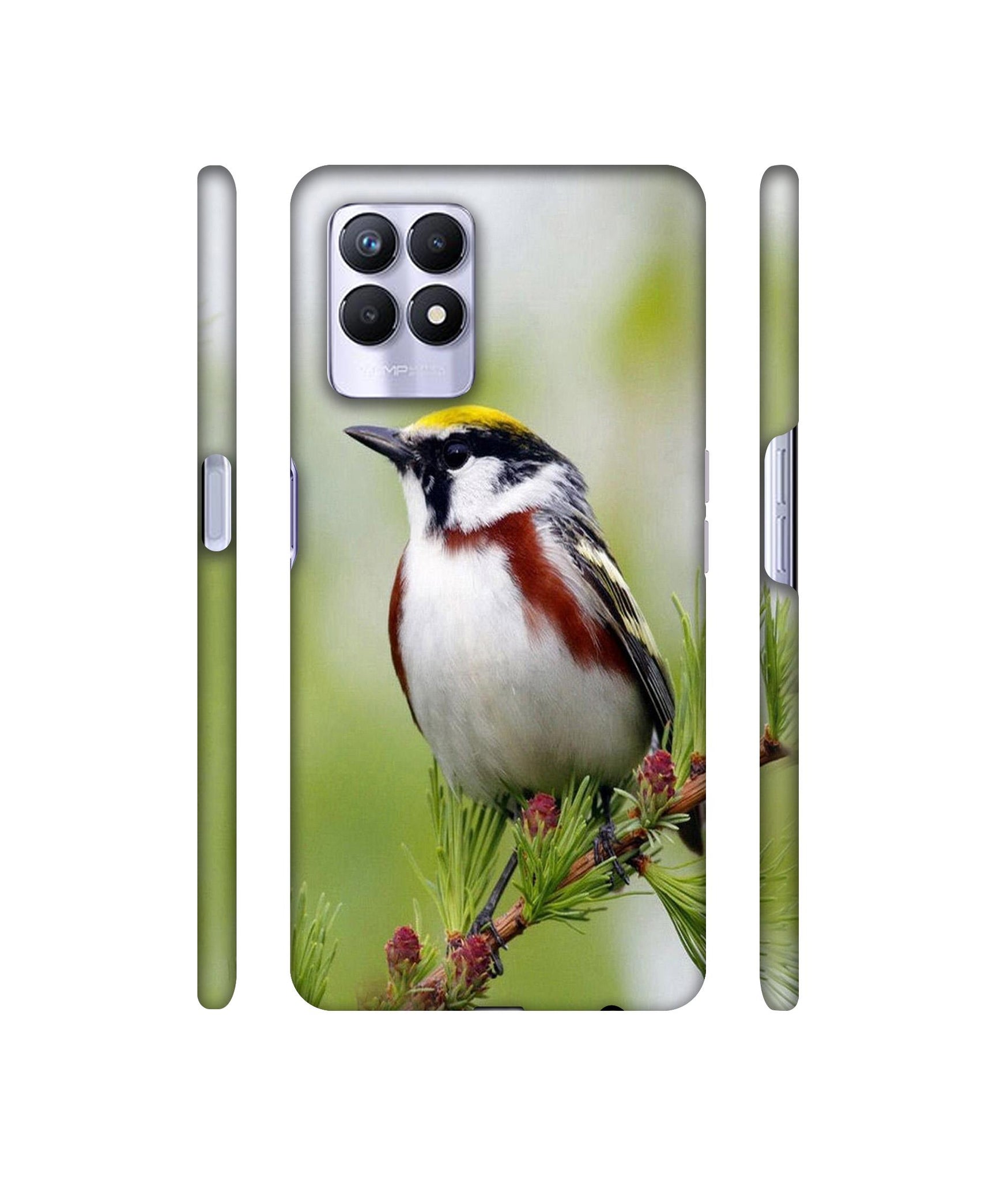 Bird Pattern Designer Hard Back Cover for Realme 8i