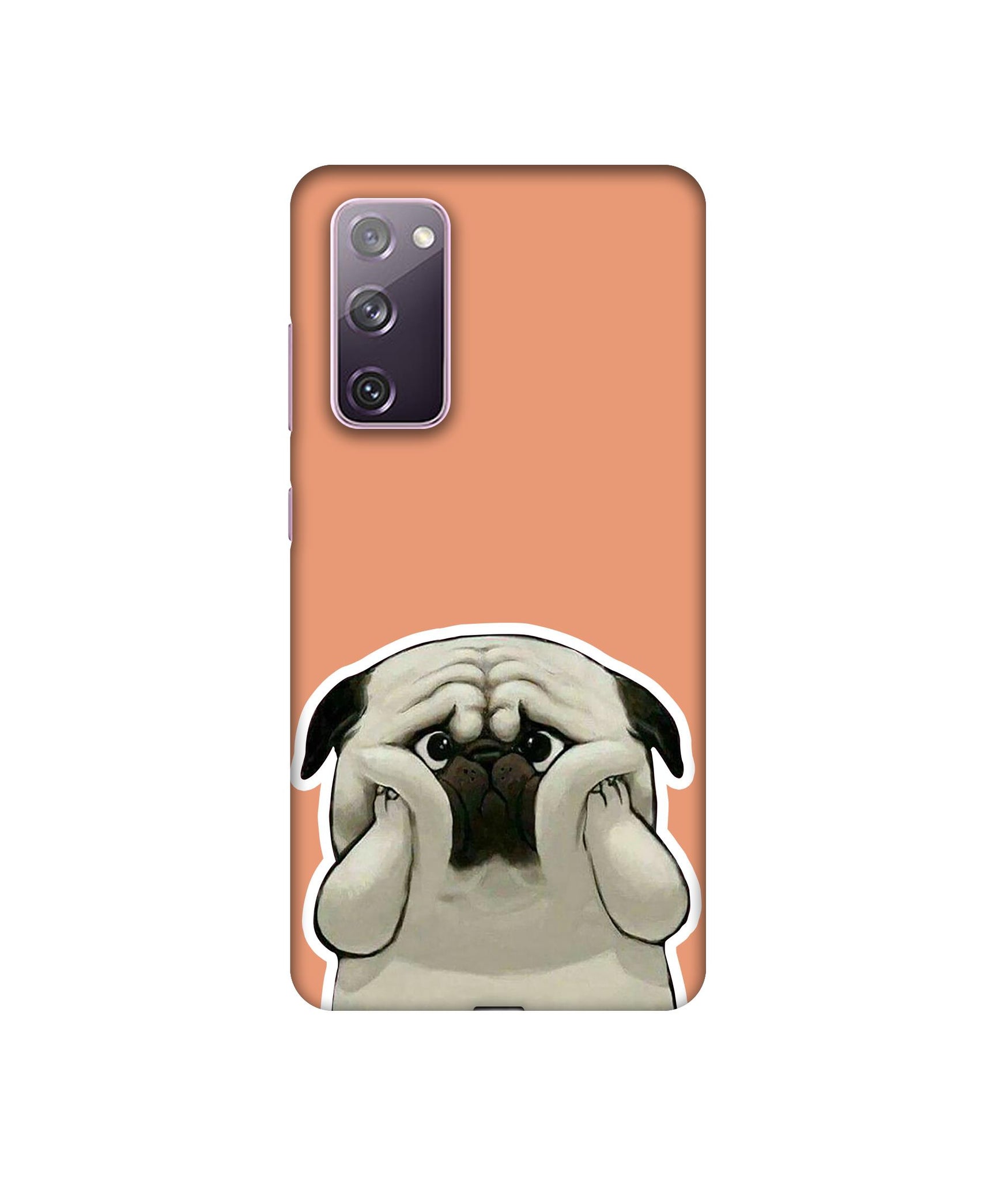 Samsung Galaxy S20 FE 5G