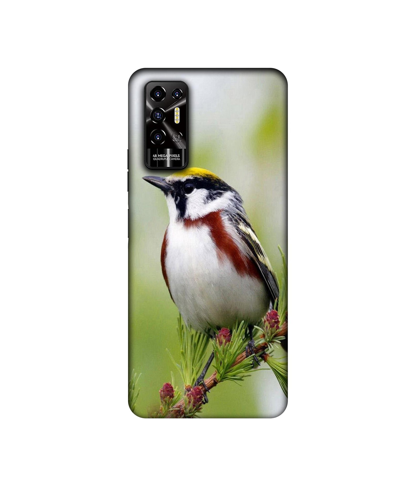 Tecno POVA 2