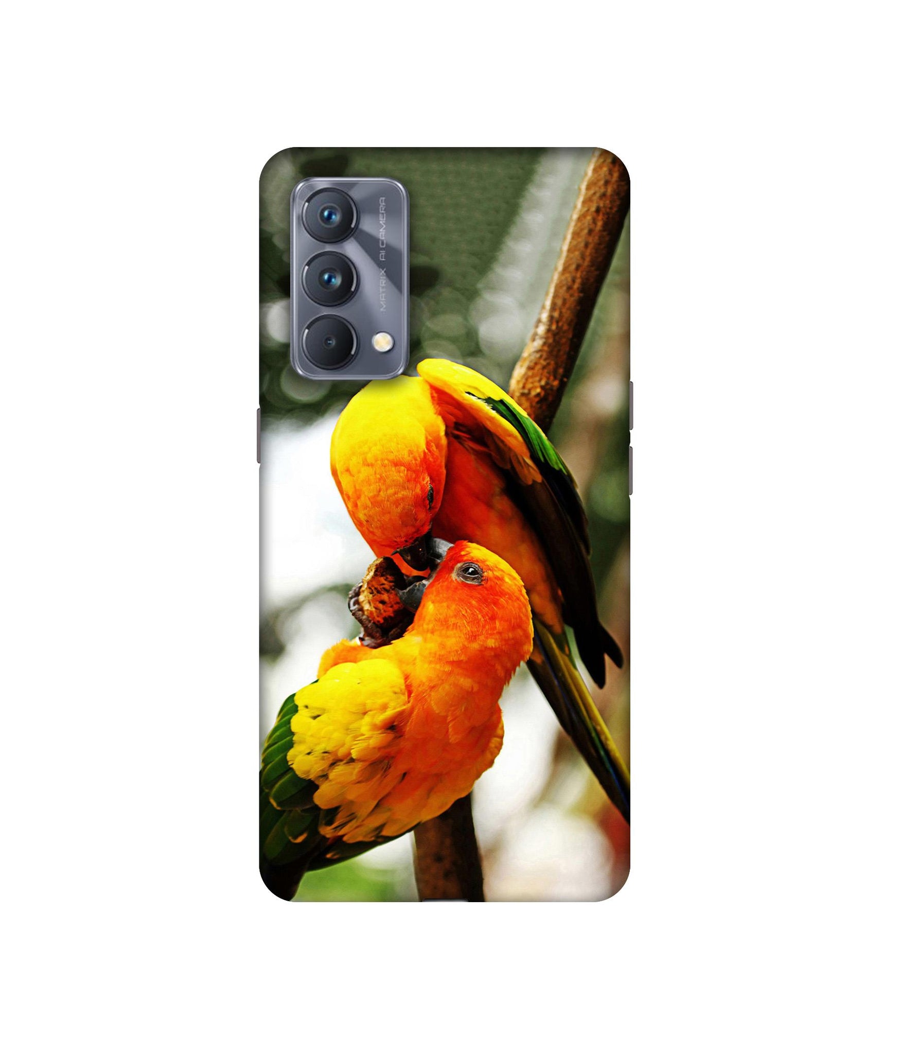 Realme GT Master Edition