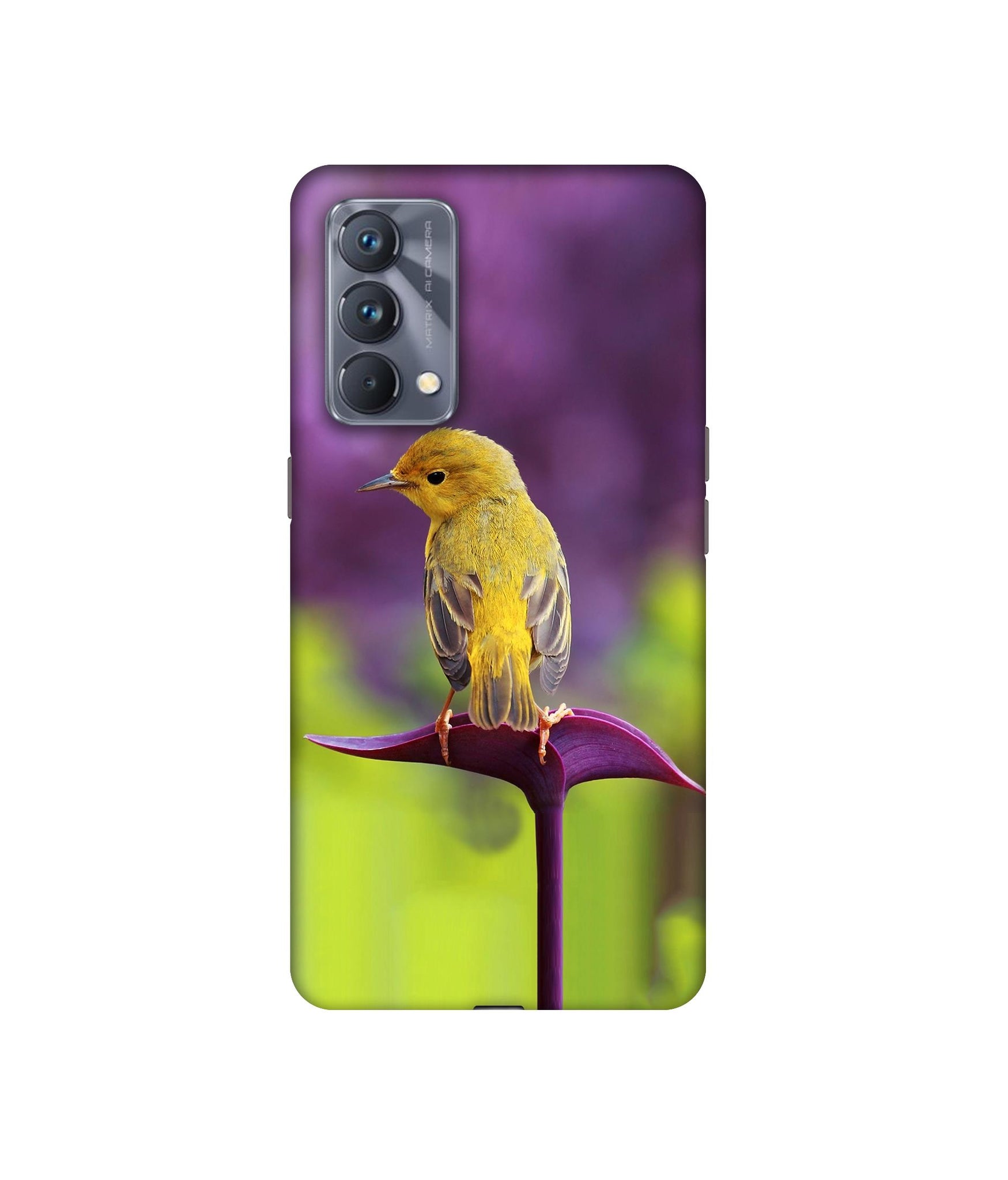 Realme GT Master Edition