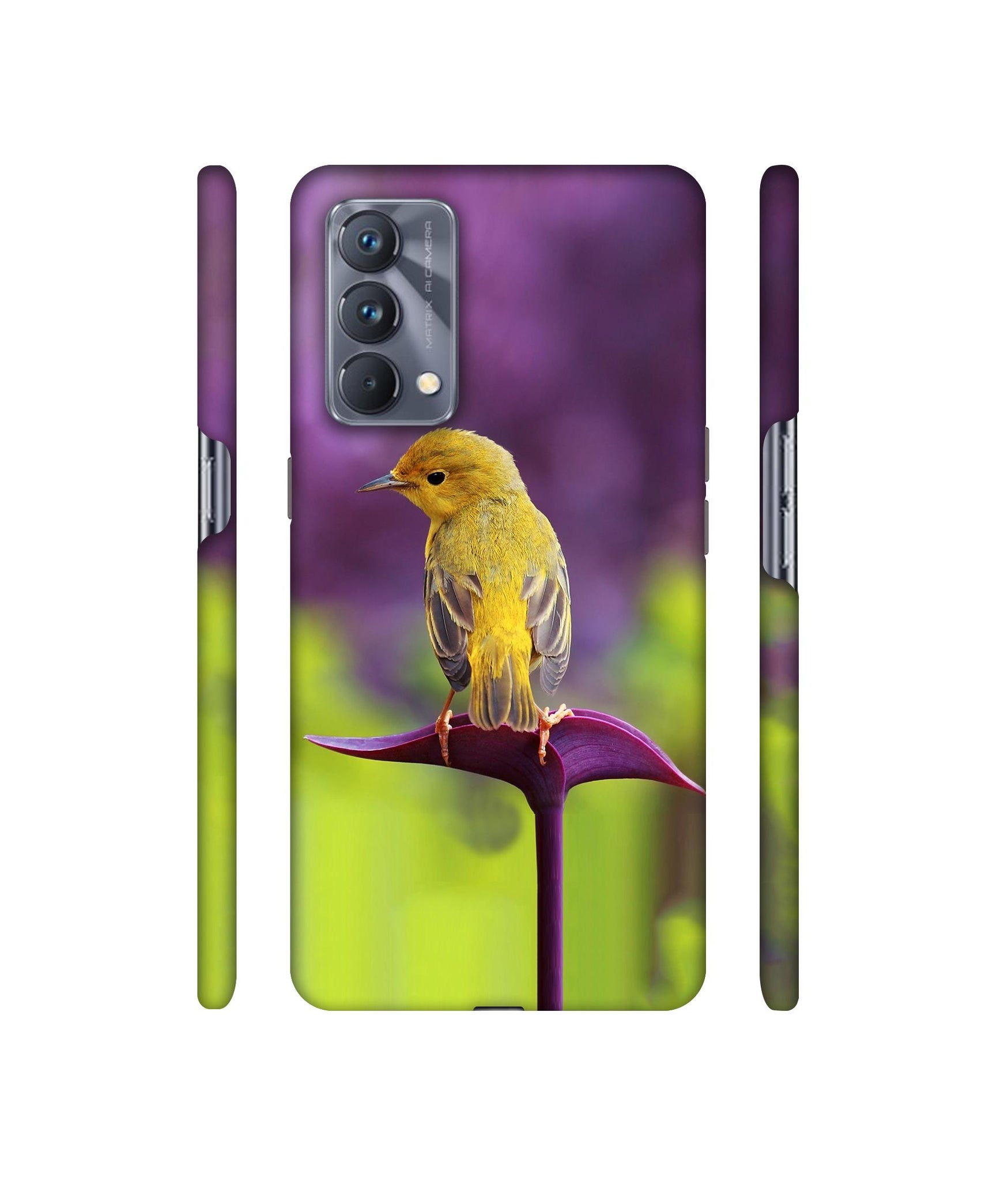 Little Bird Designer Hard Back Cover for Realme GT Master Edition
