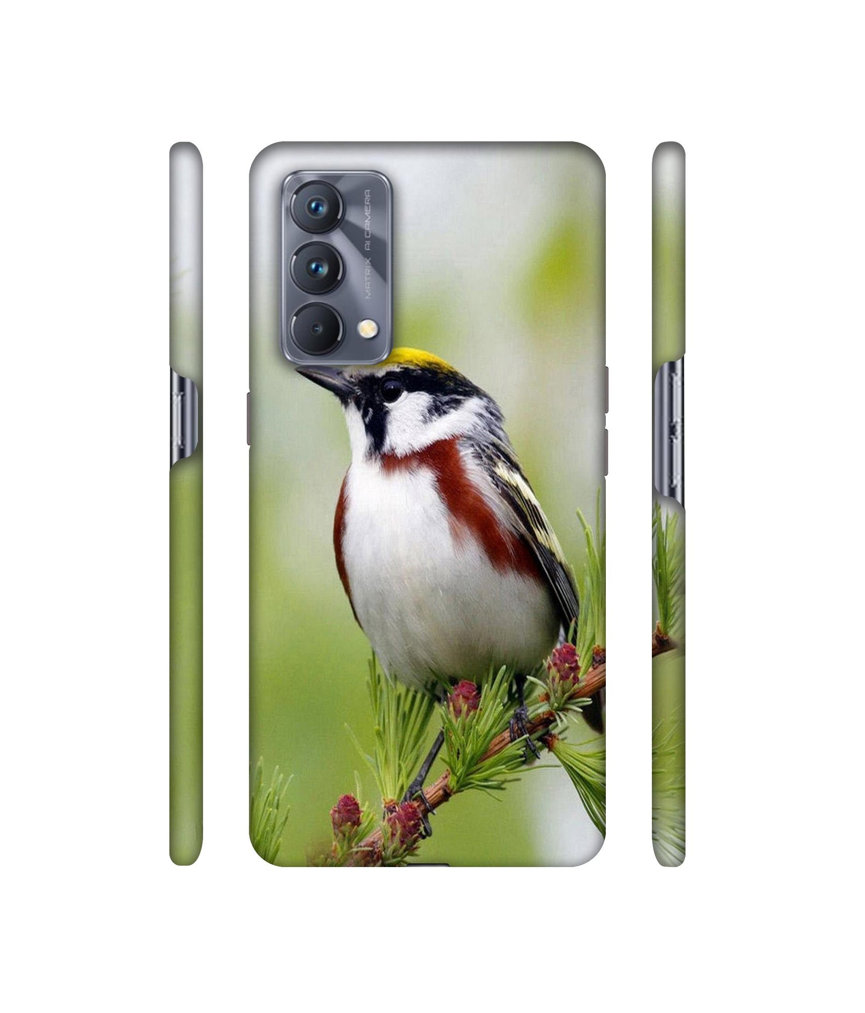 Bird Pattern Designer Hard Back Cover for Realme GT Master Edition