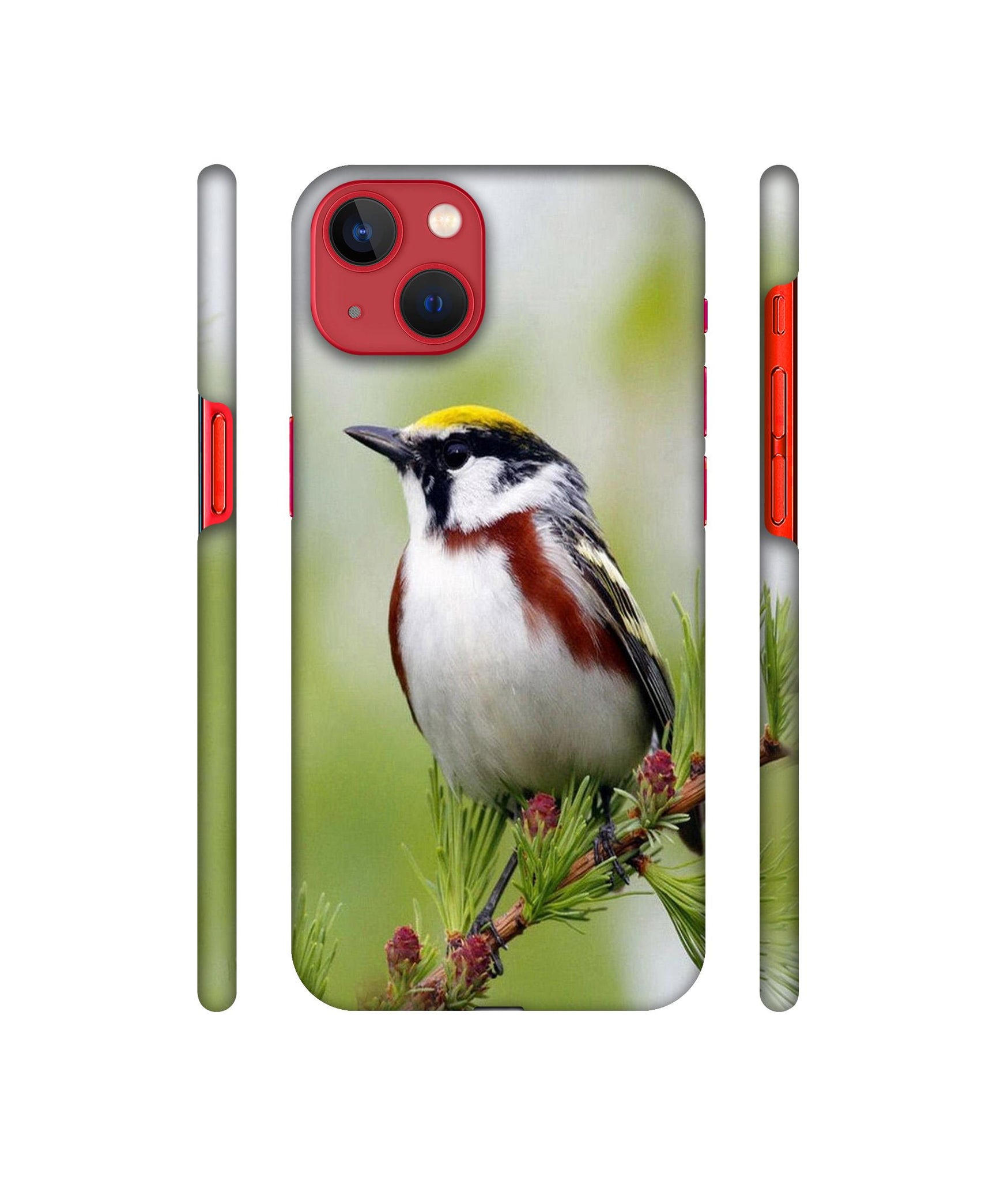 Bird Pattern Designer Hard Back Cover for Apple iPhone 13