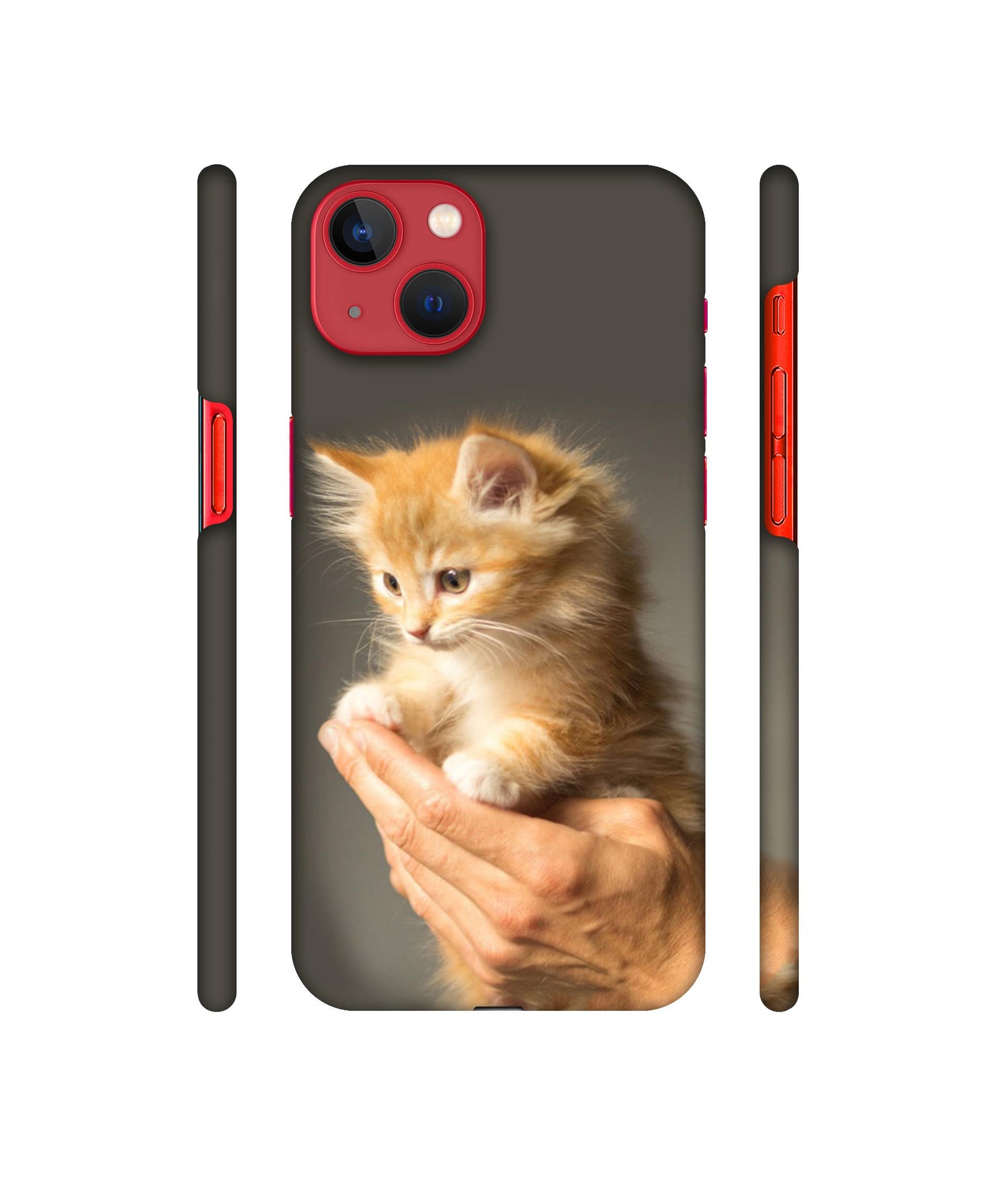 Cute Kitten Designer Hard Back Cover for Apple iPhone 13