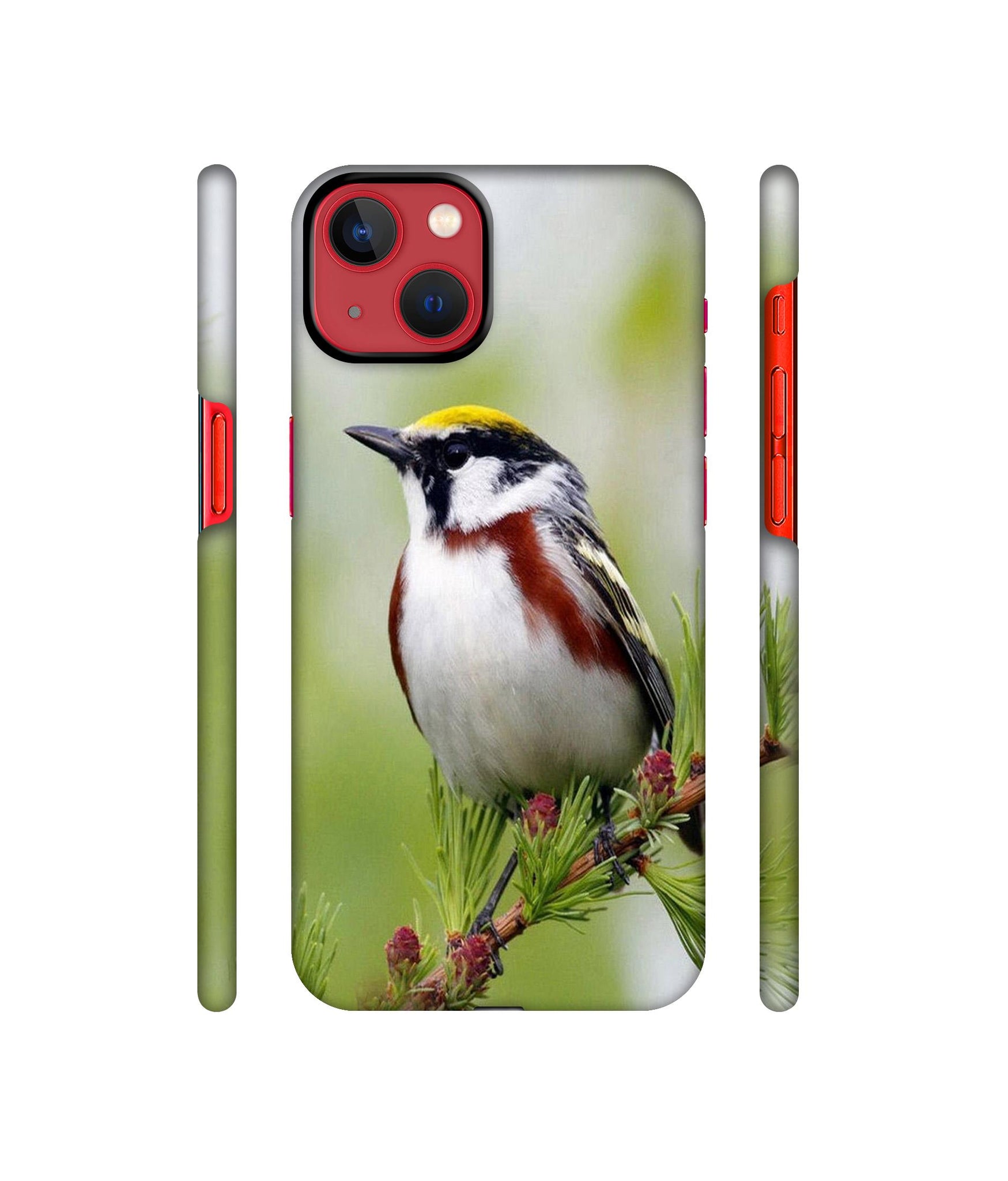 Bird Pattern Designer Hard Back Cover for Apple iPhone 13